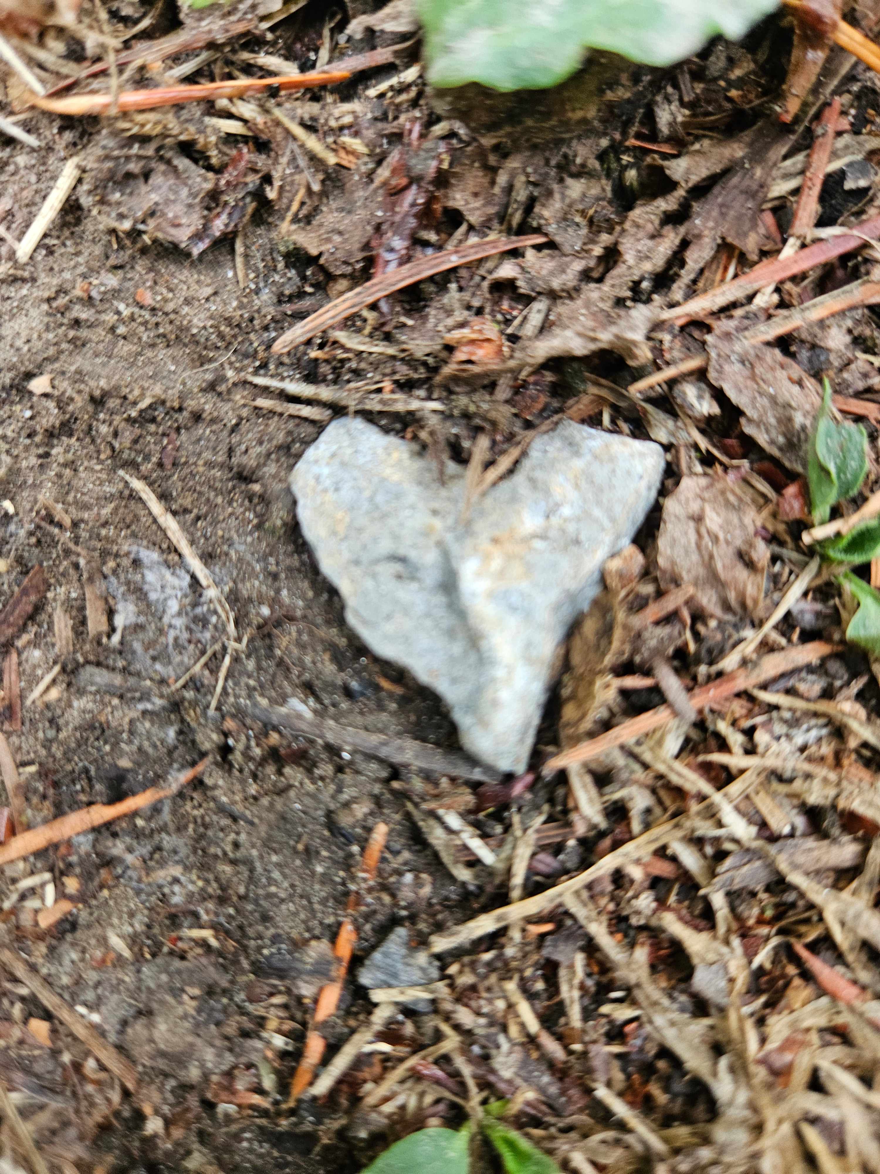 Loving nature here