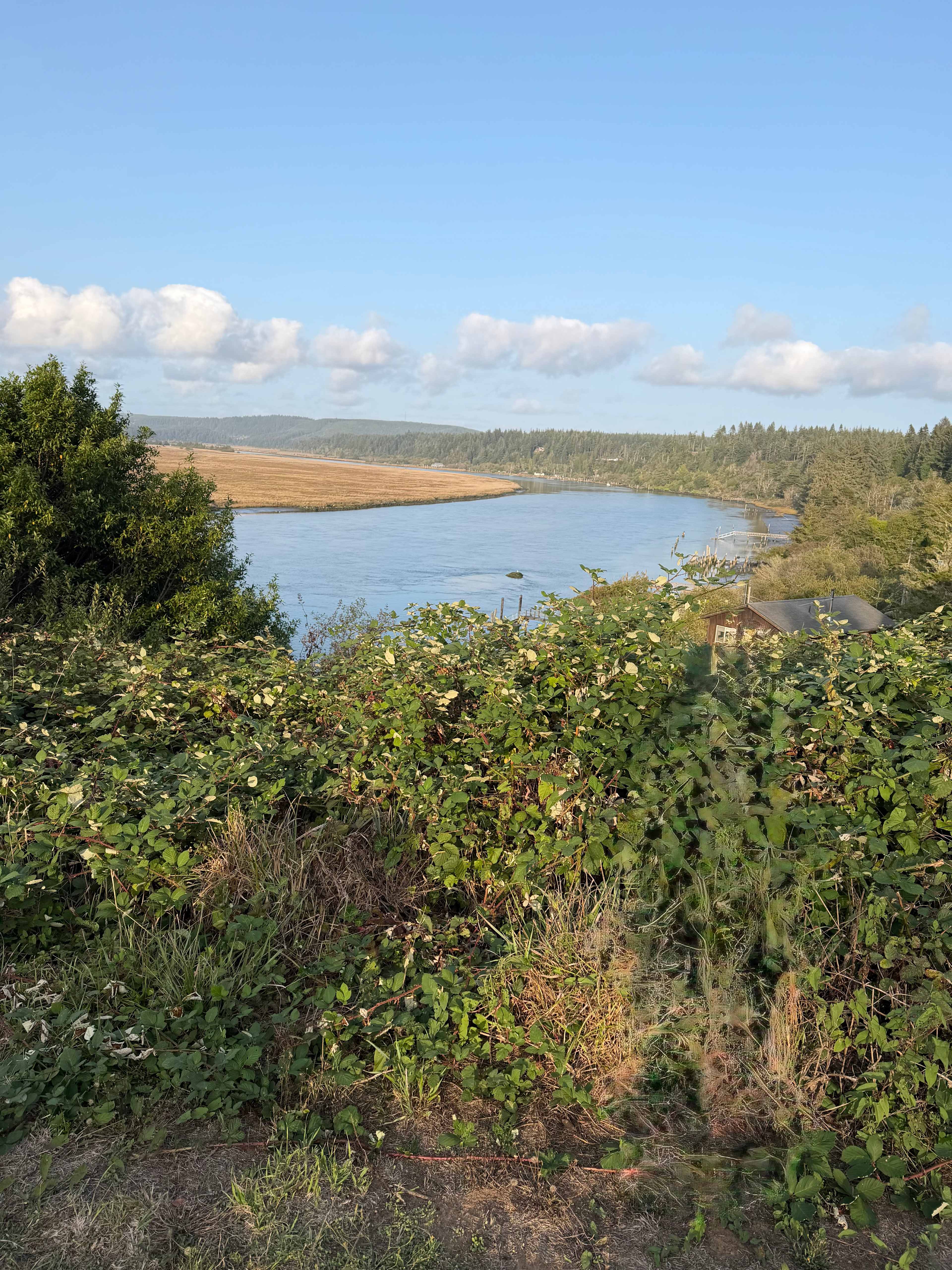 Prosper Bluff