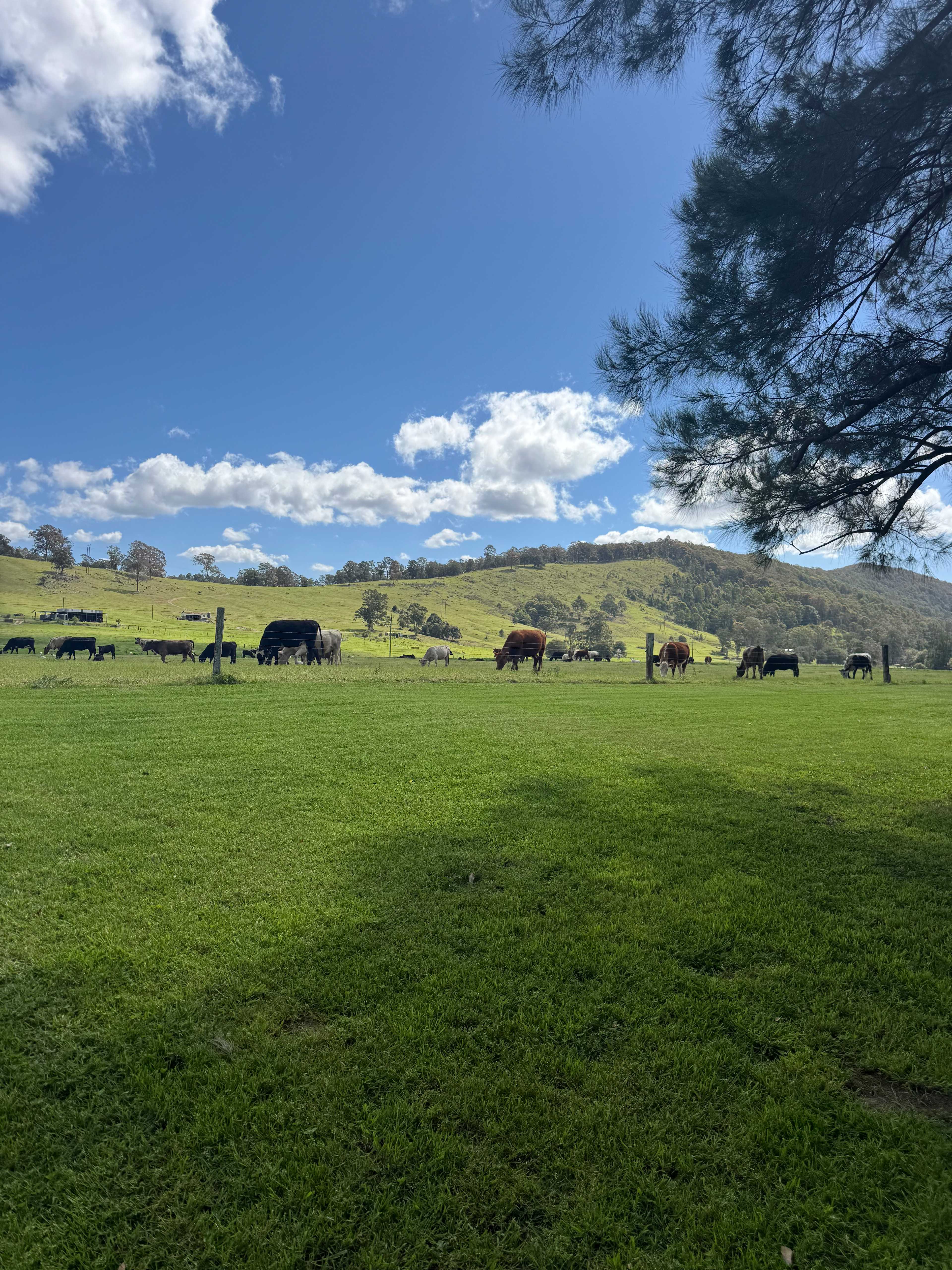 Willowbank