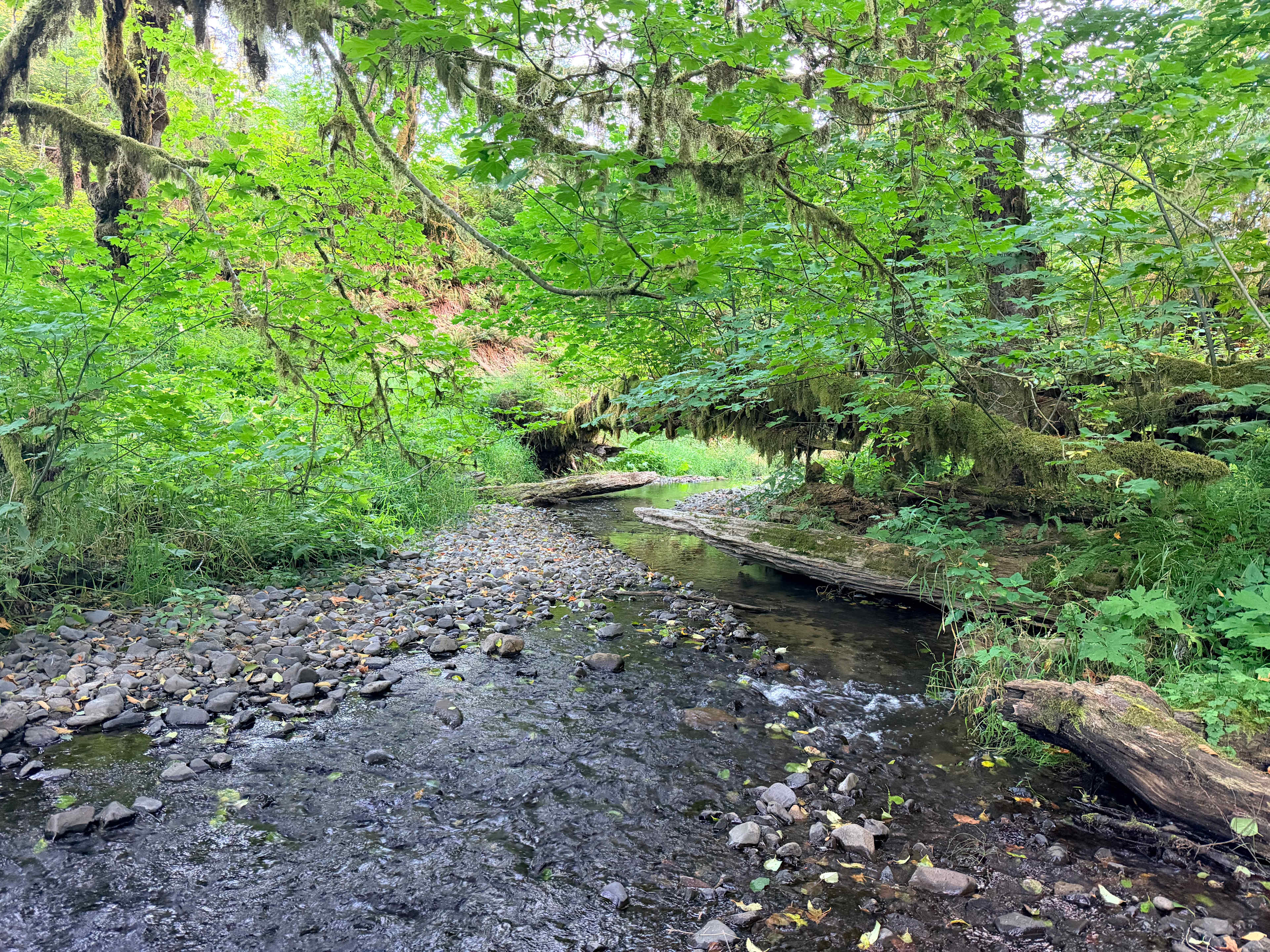 Hillside Vista RV / Creekside Camp