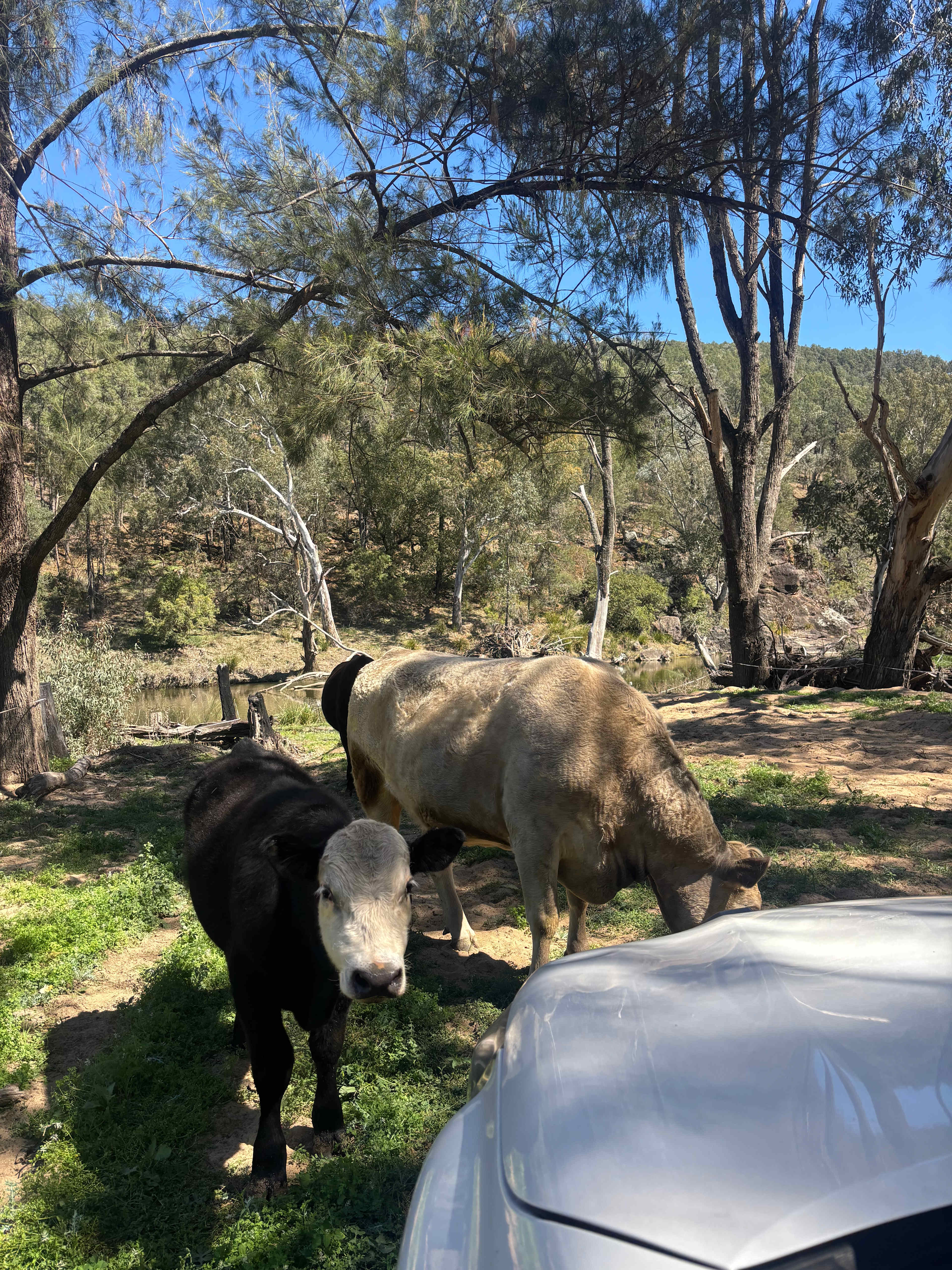 Namoi Valley Escape