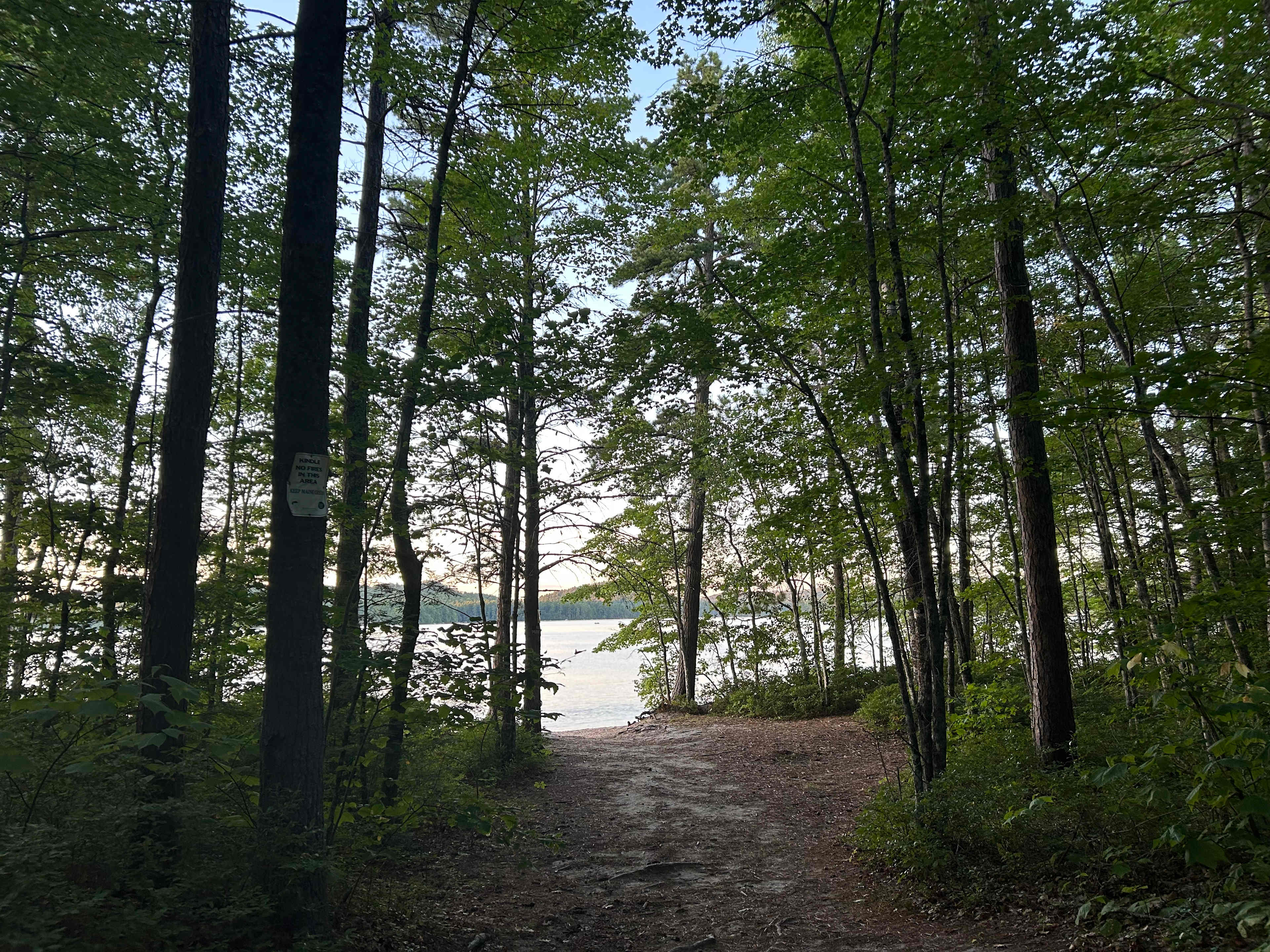 BrandiLee Woods at the Woolley farm
