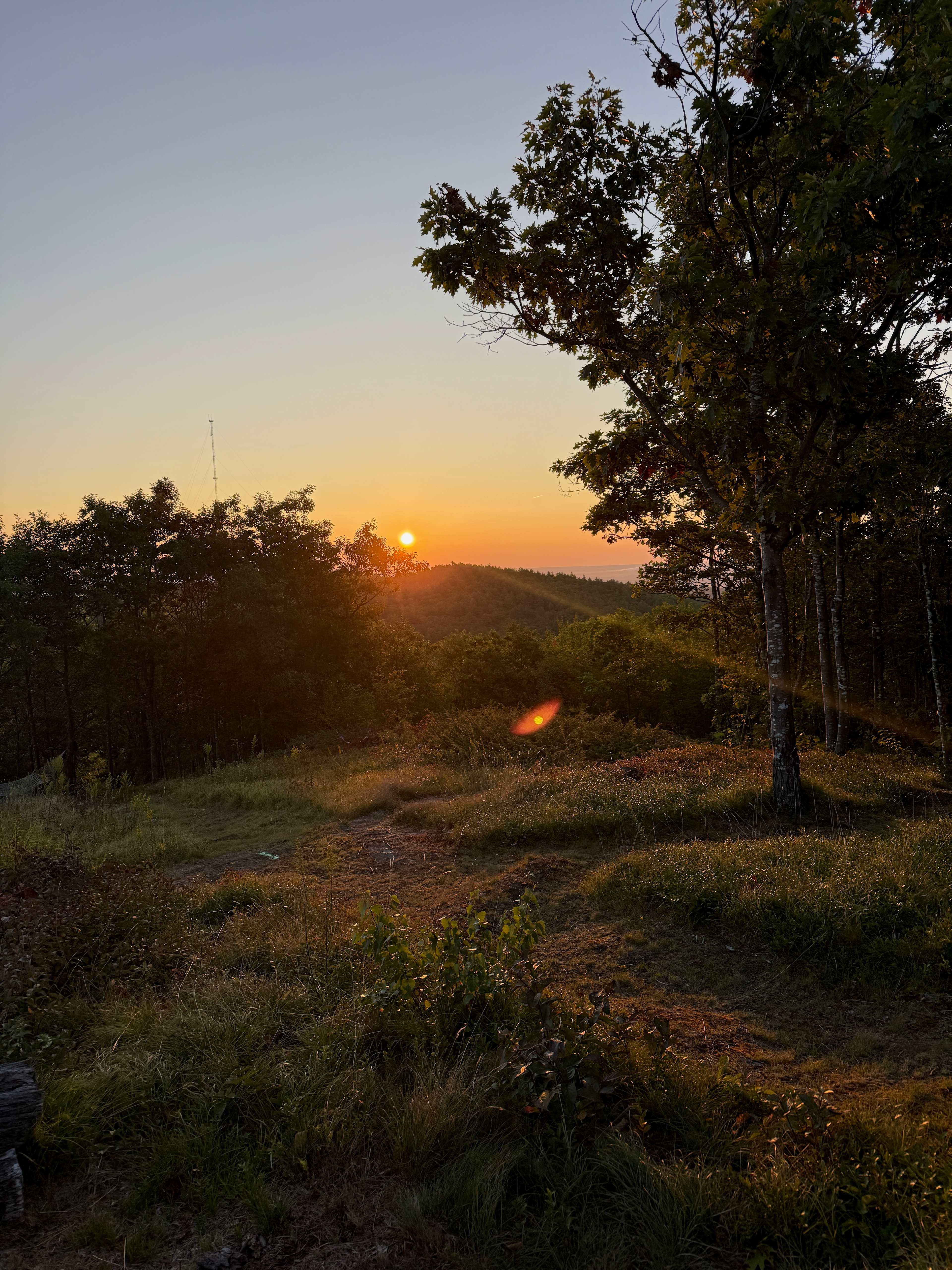 Hussey Mountain Tree Farm