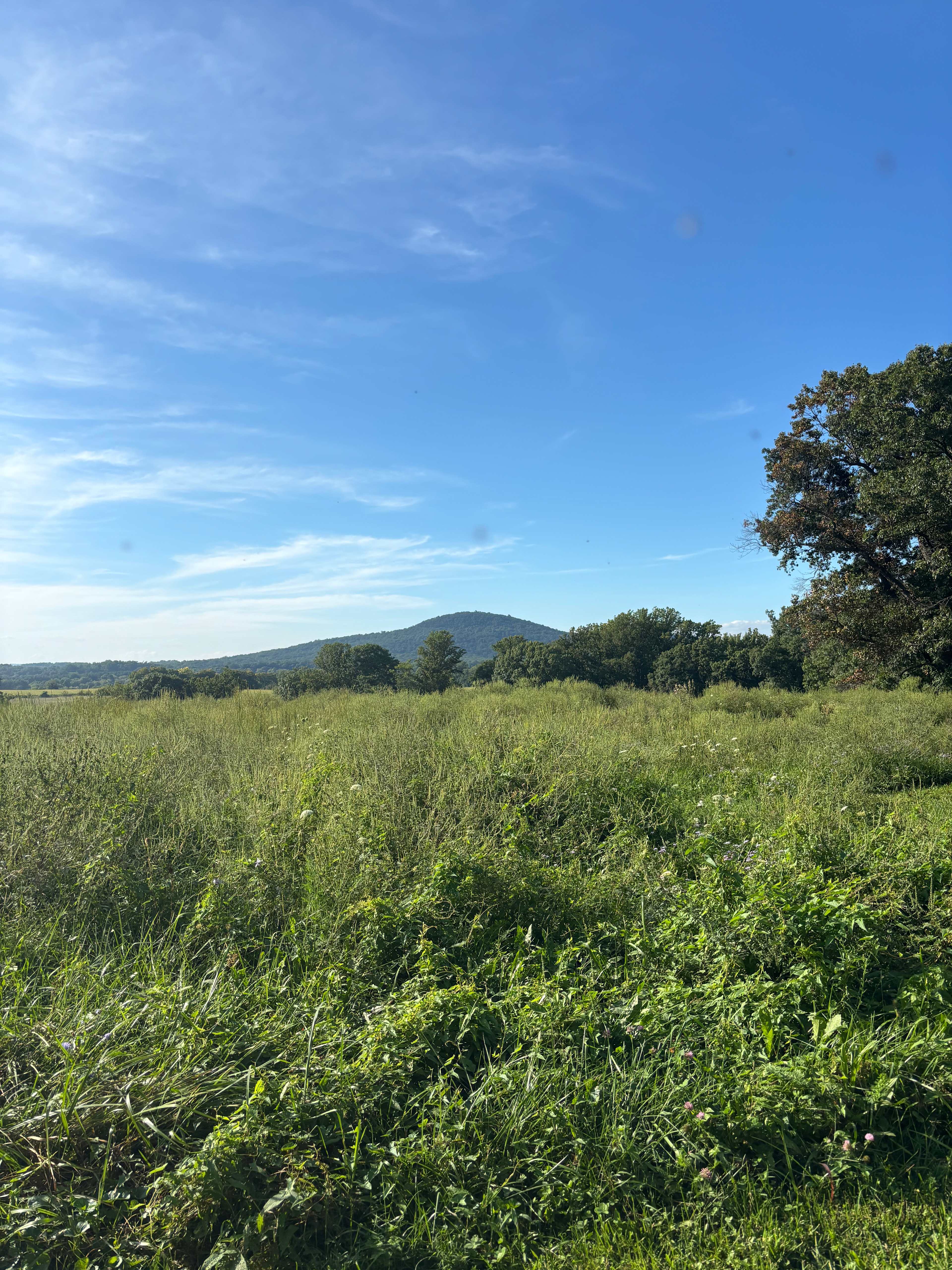 Camp Comus, LLC