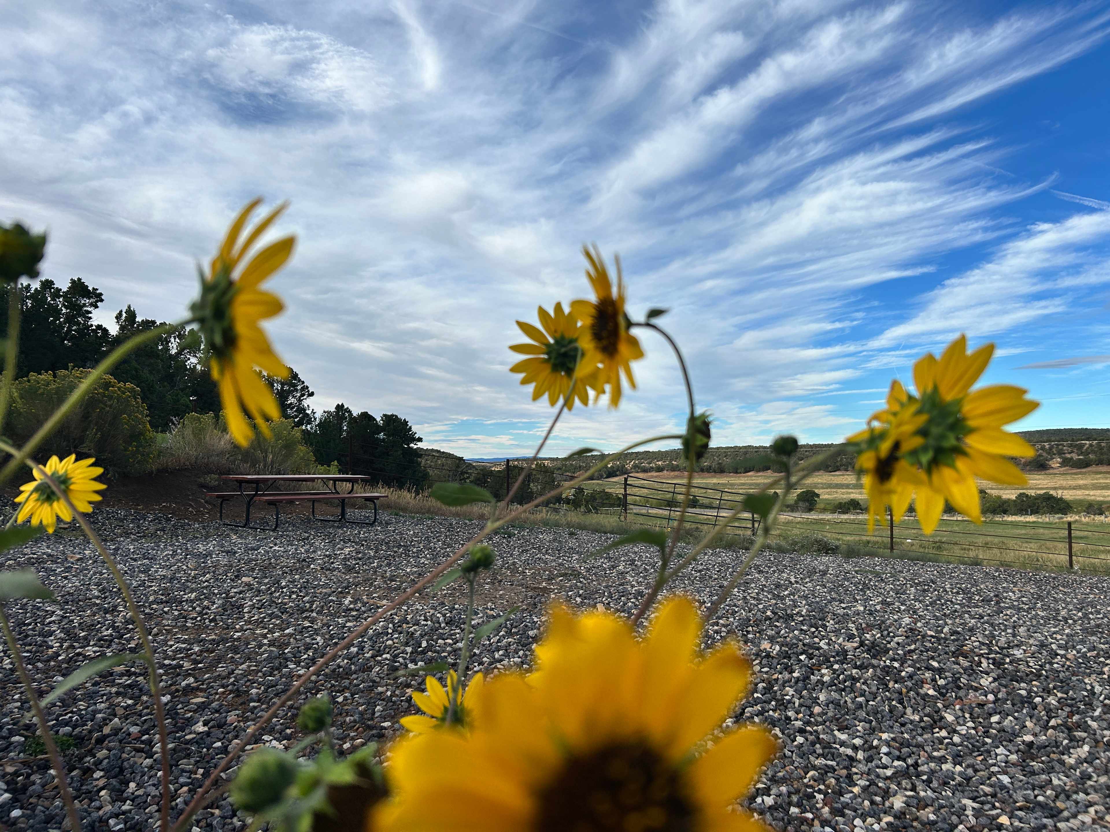 Boulder Meadows