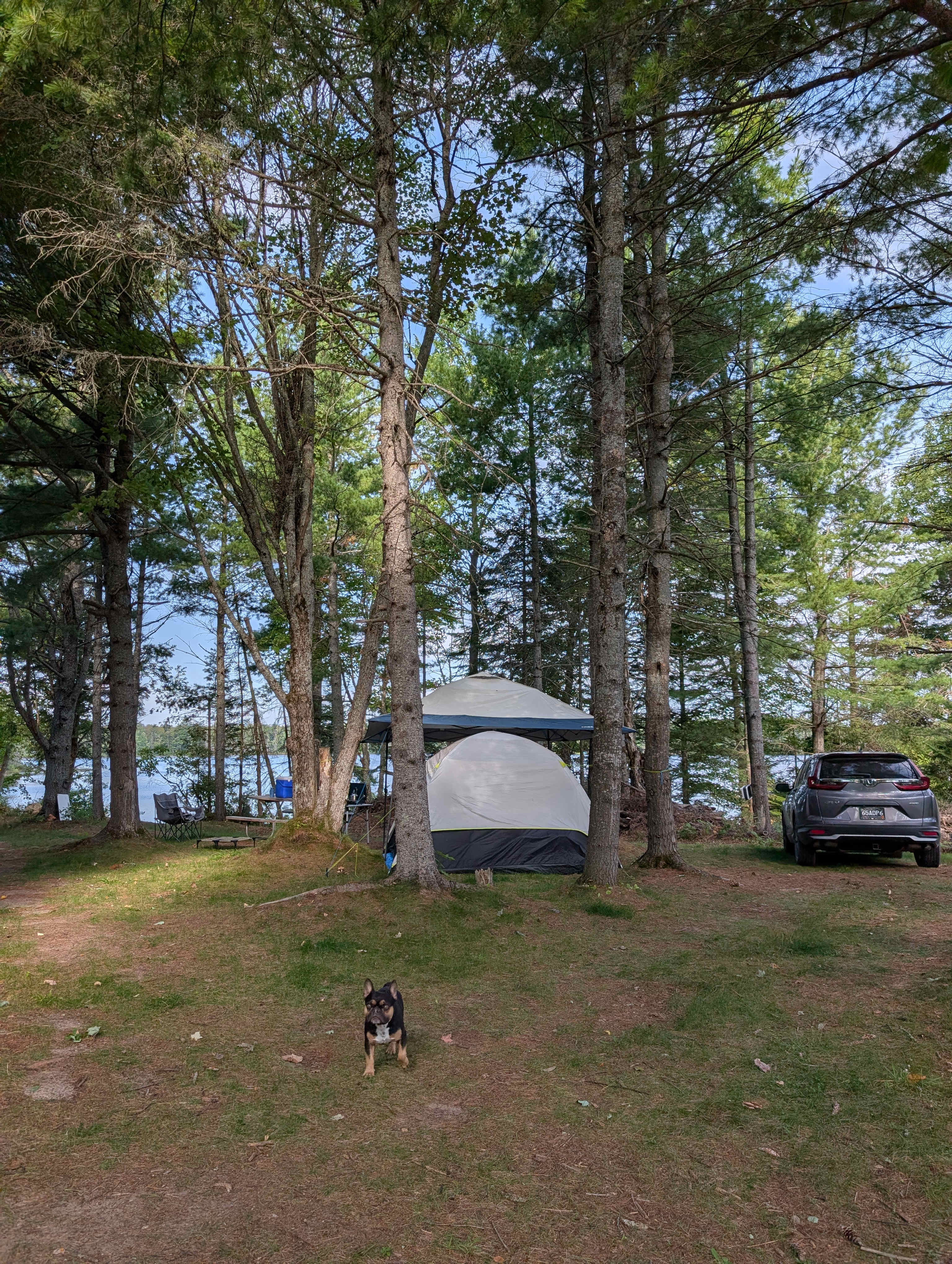 Gentle Breeze Camping