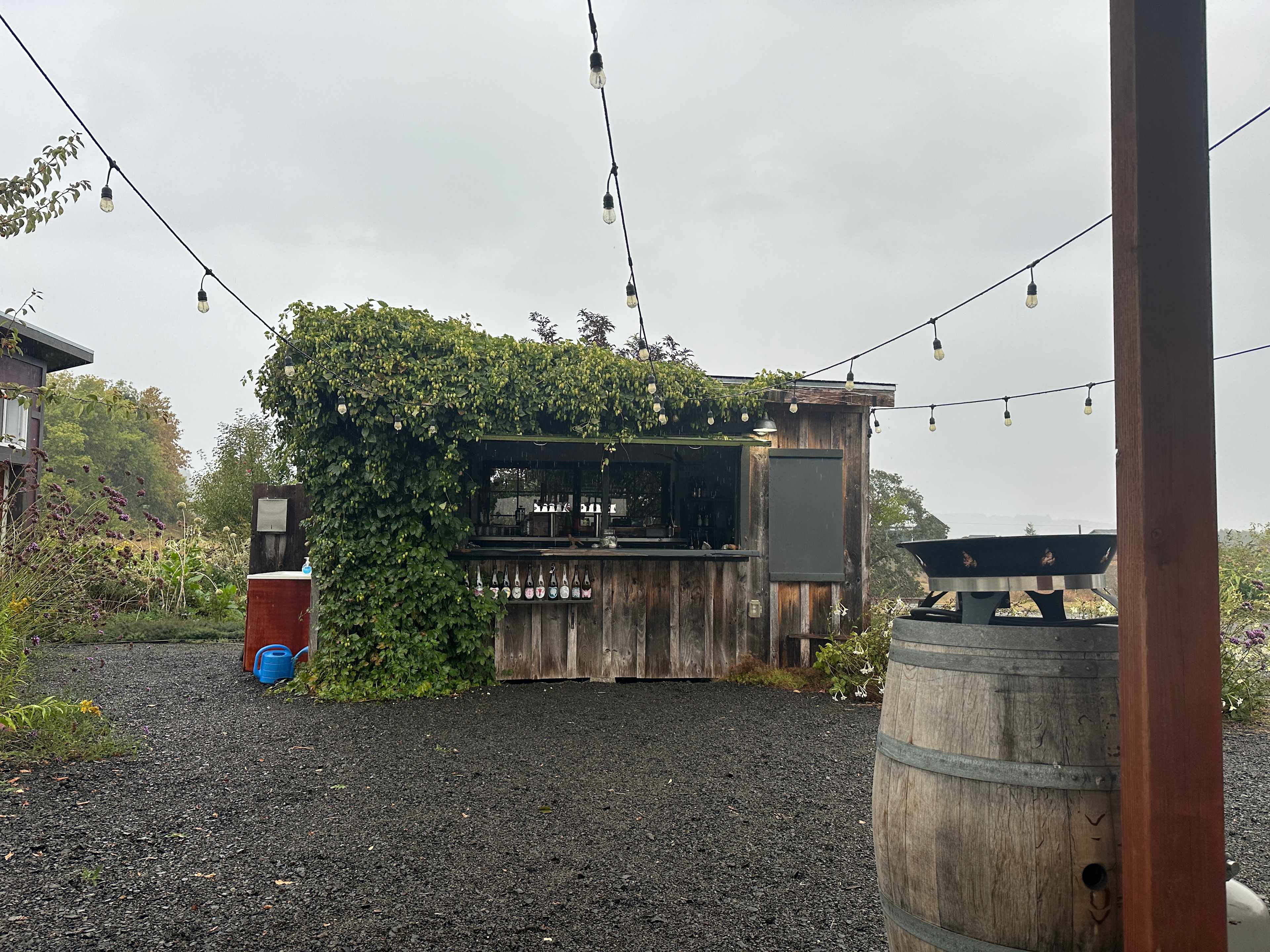 Roshambo ArtFarm