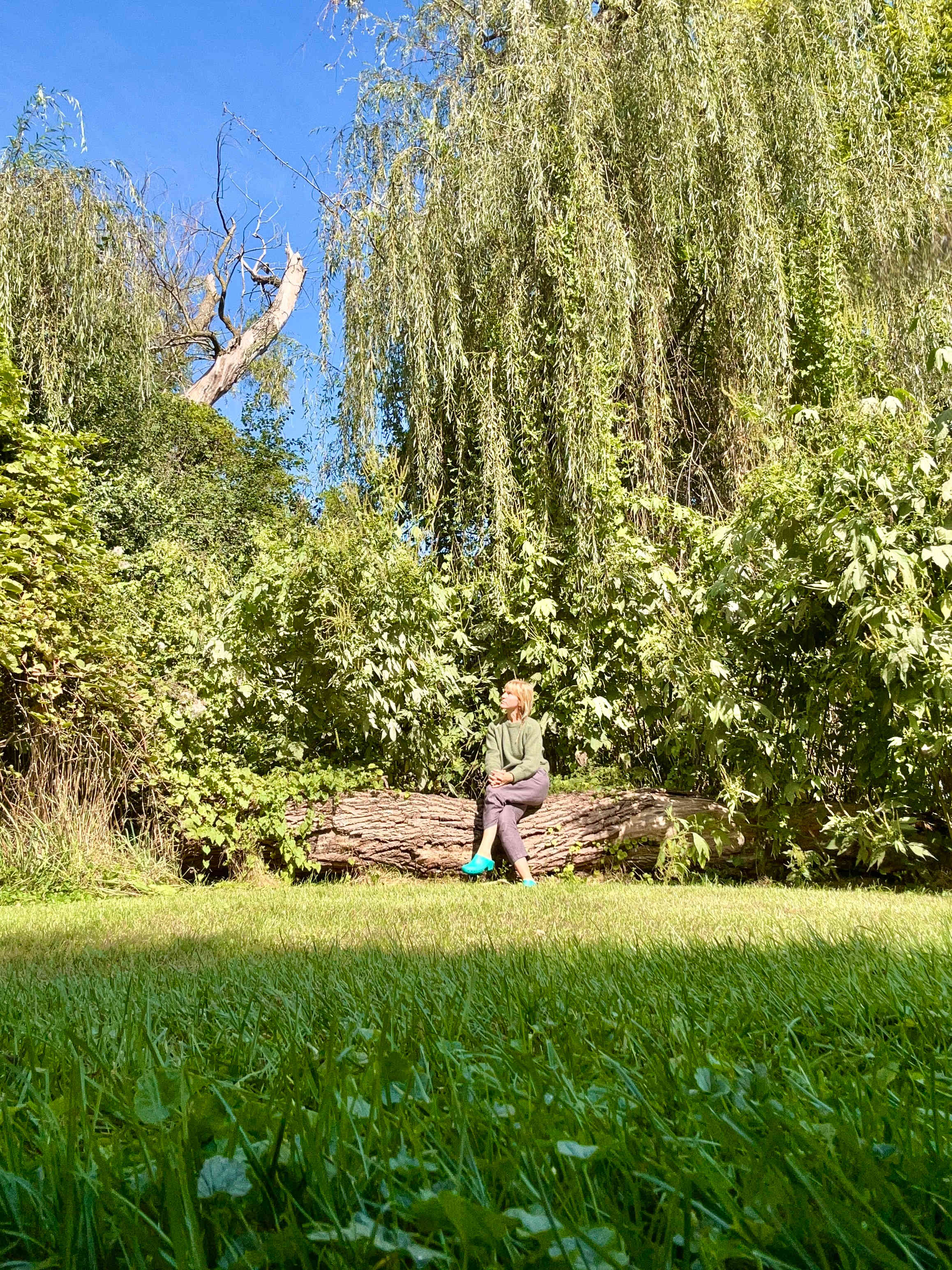Escape to Nature