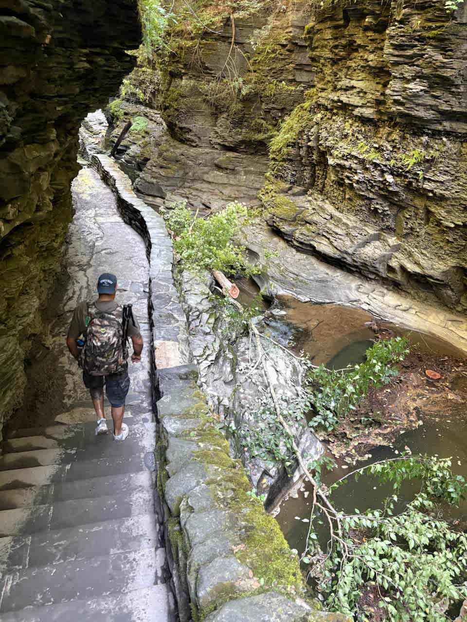 RV/Camper Sites in Watkins Glen NY