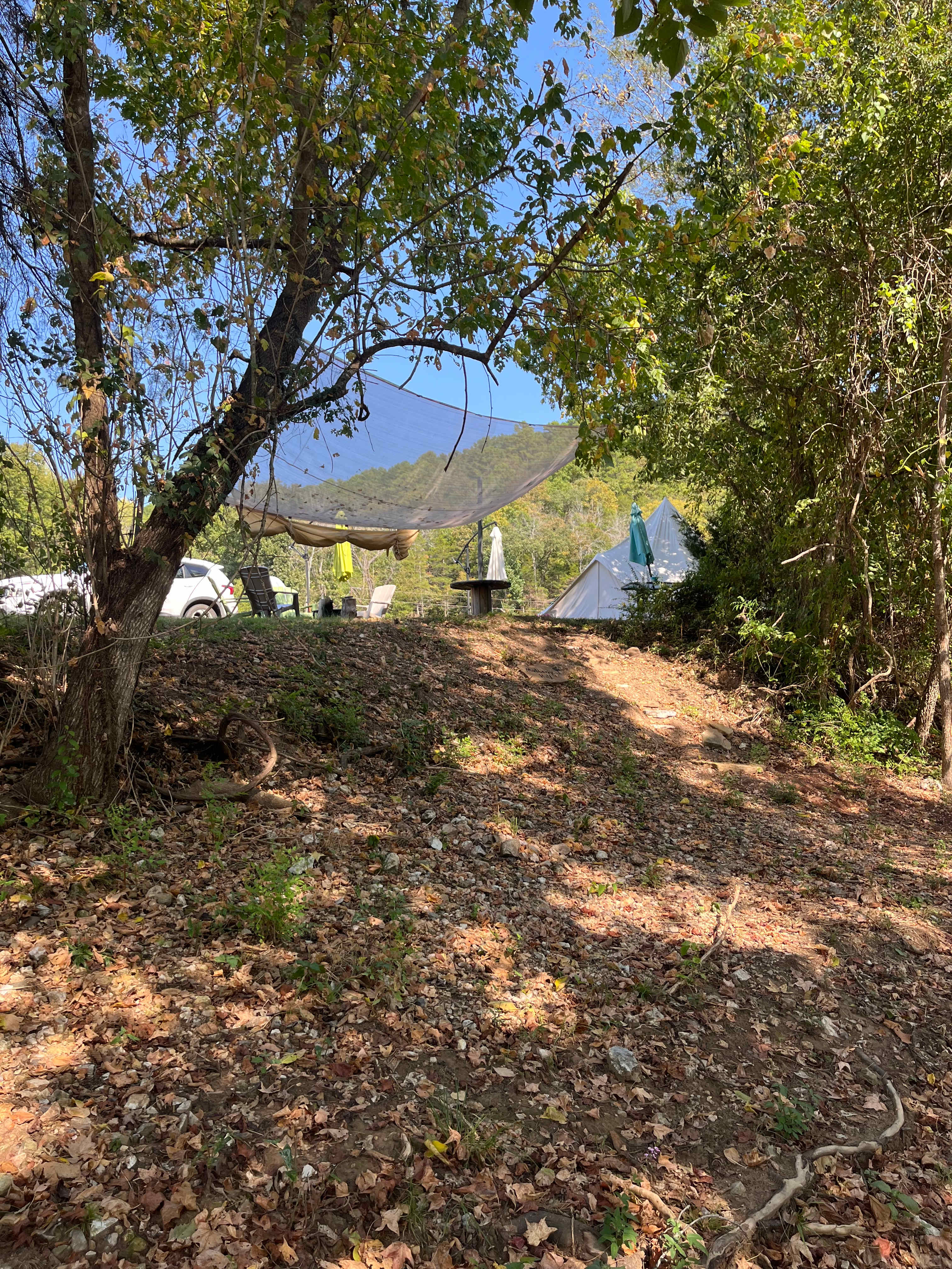 Picture of the site