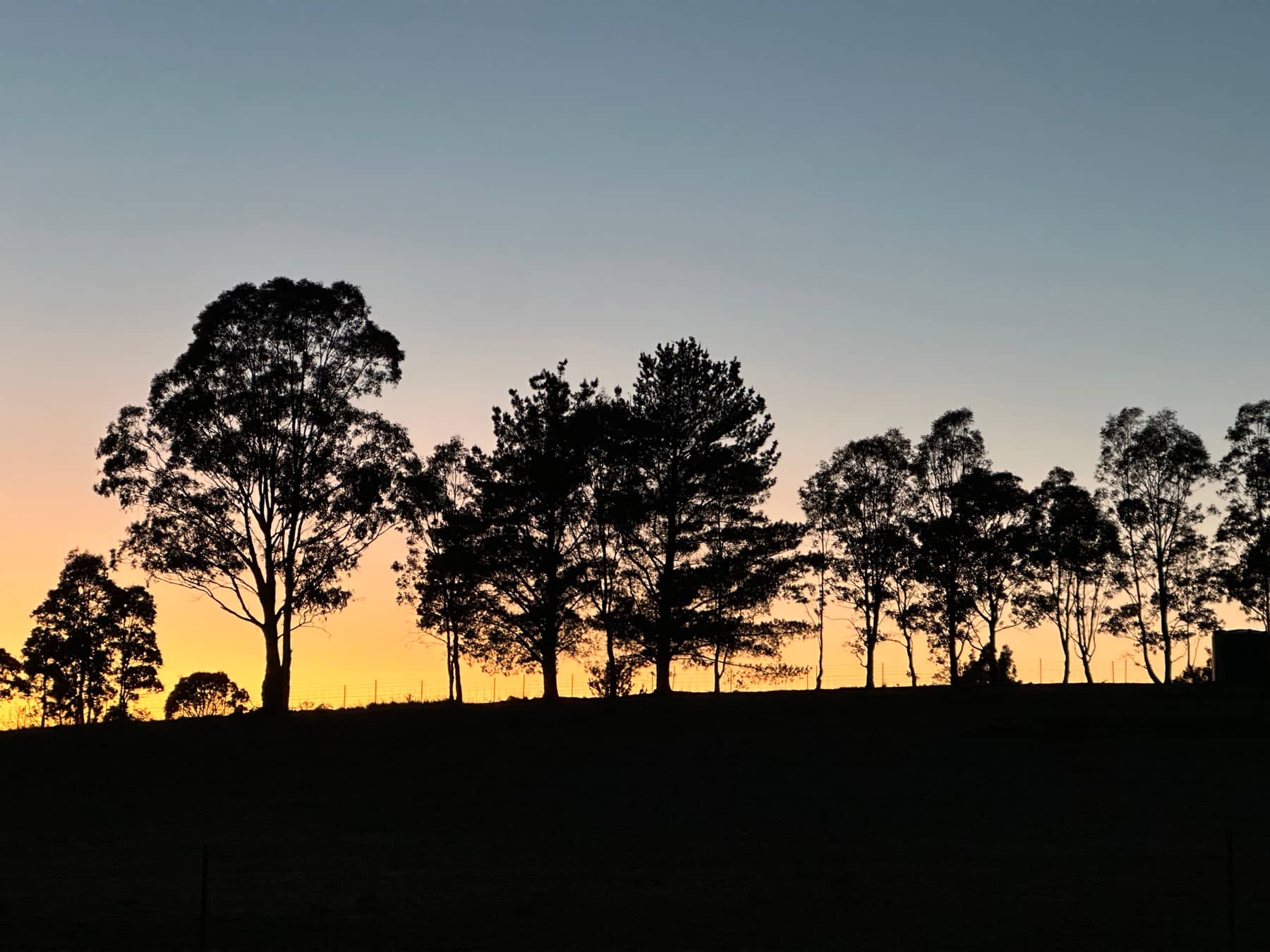 Sunrise from campsite