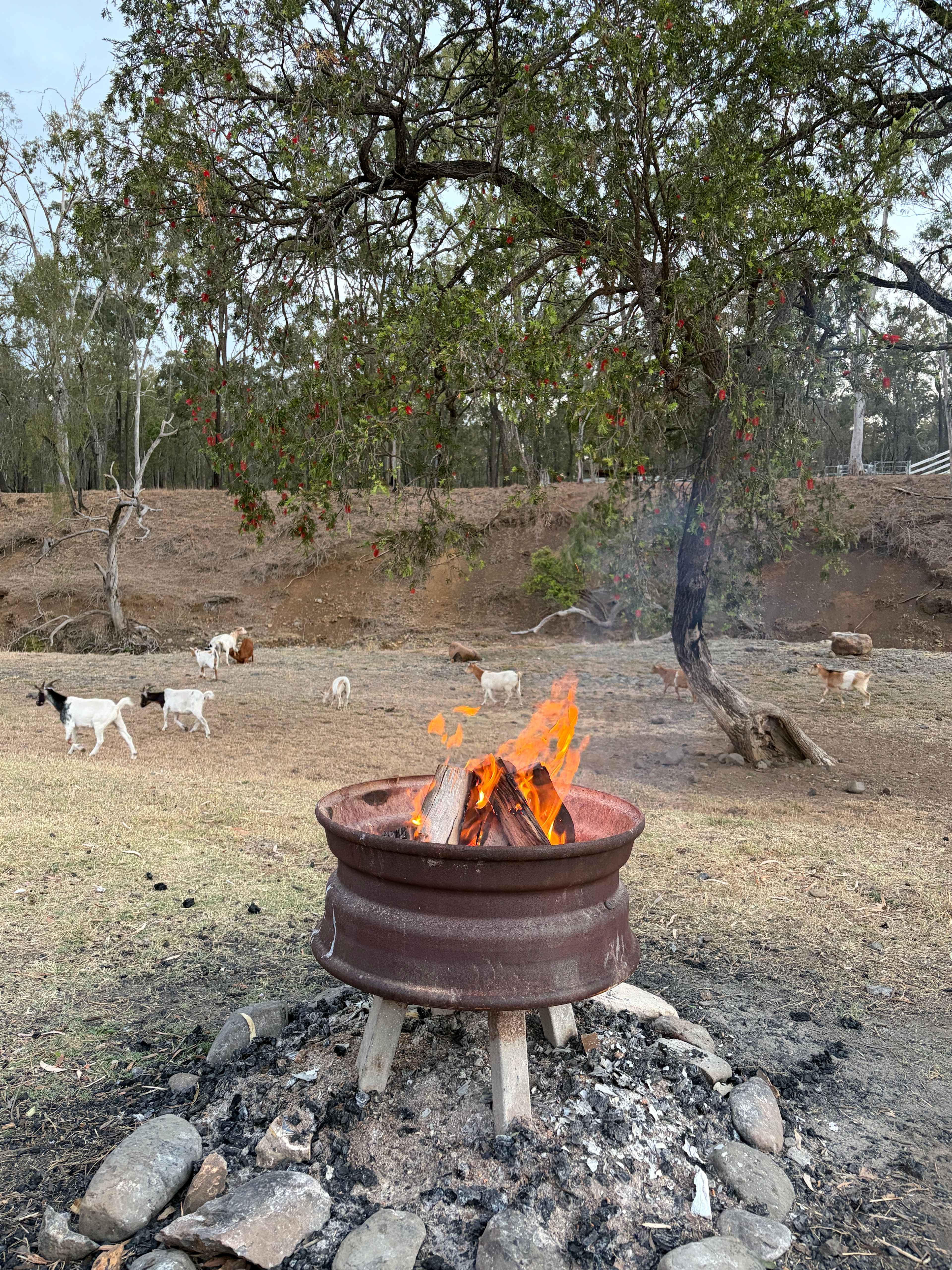 Rocky Creek Homestead