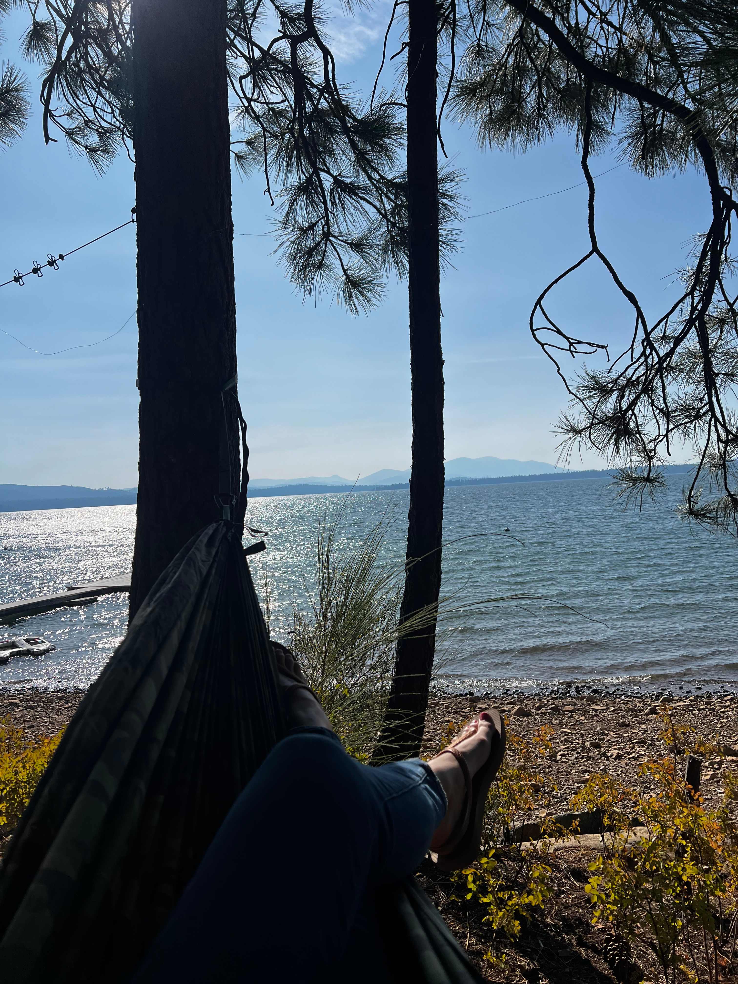 Plenty of hammock trees