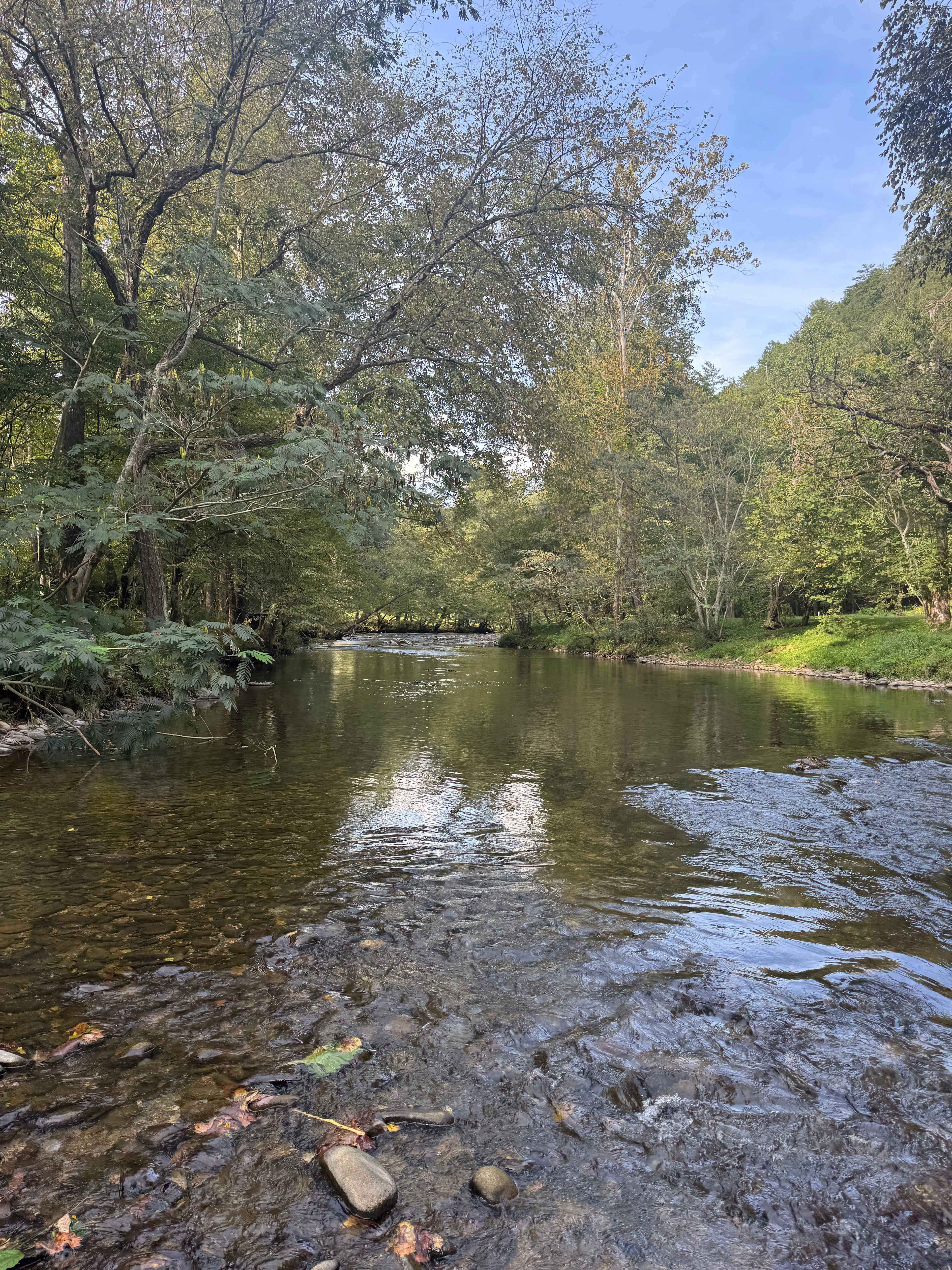 View on the river