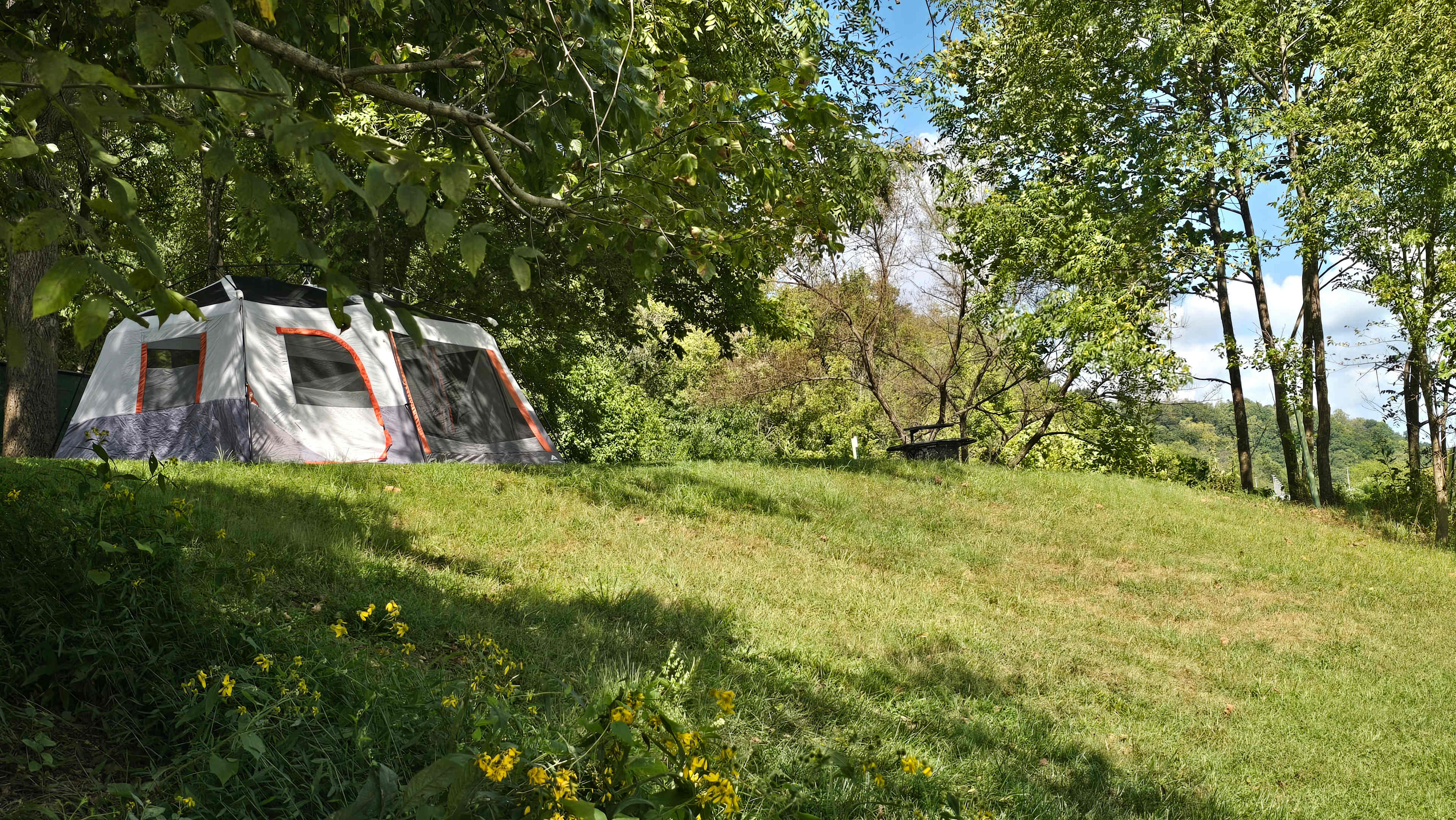 Picture of the site
