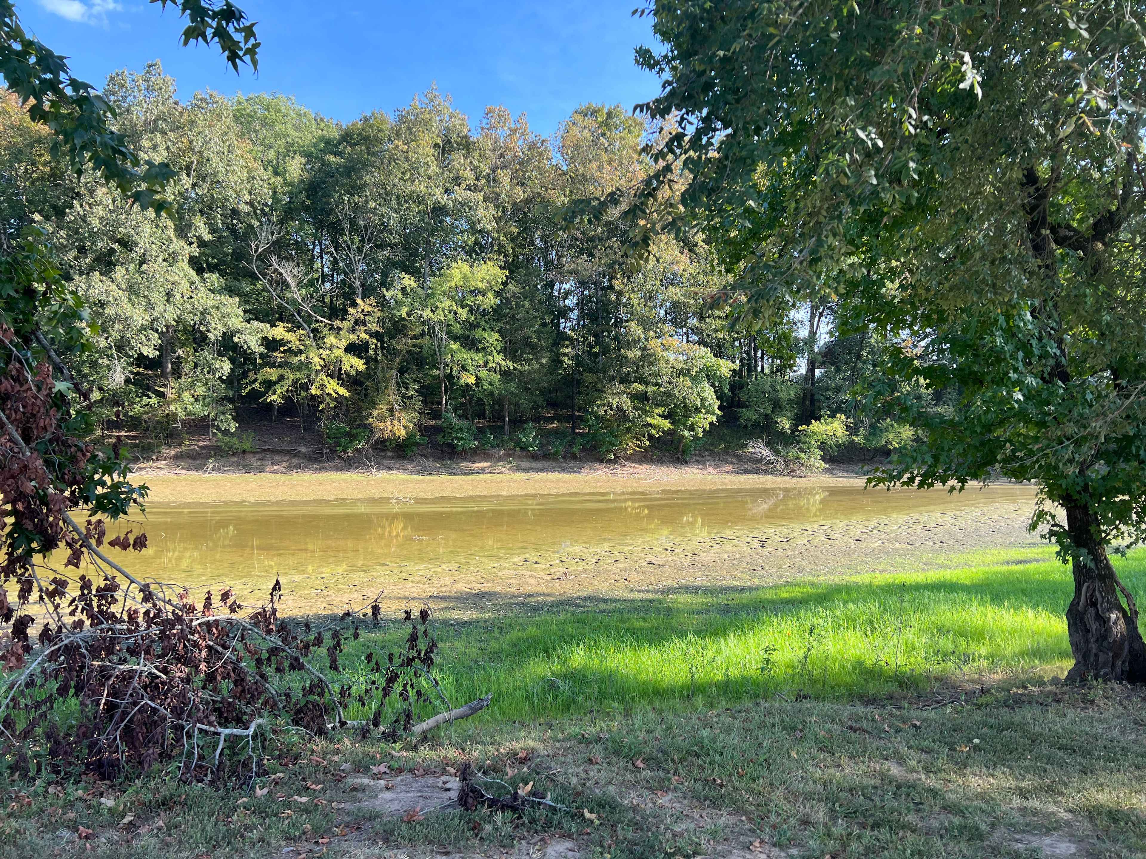 Hidden Oasis at White Oak Landing