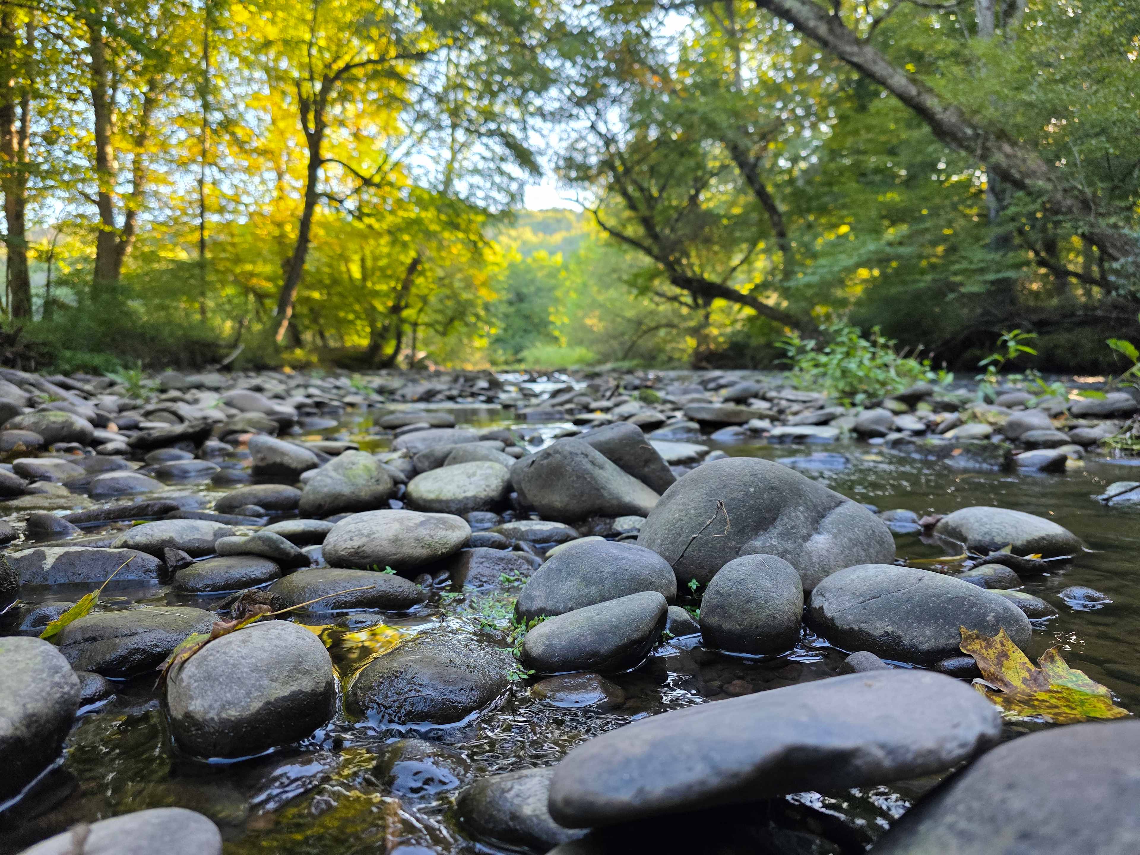 Camping along the Dyberry Creek