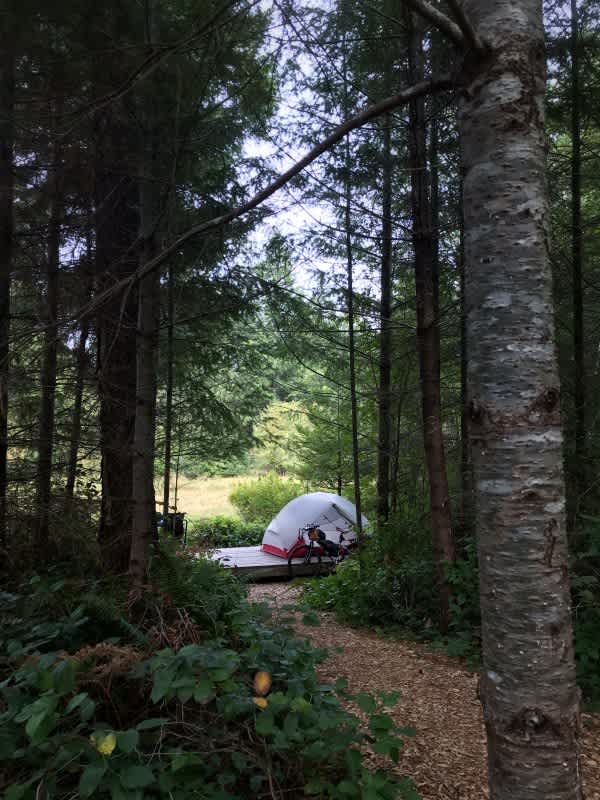 Tyee Valley Farm - Private Forest Sites in the Comox Valley