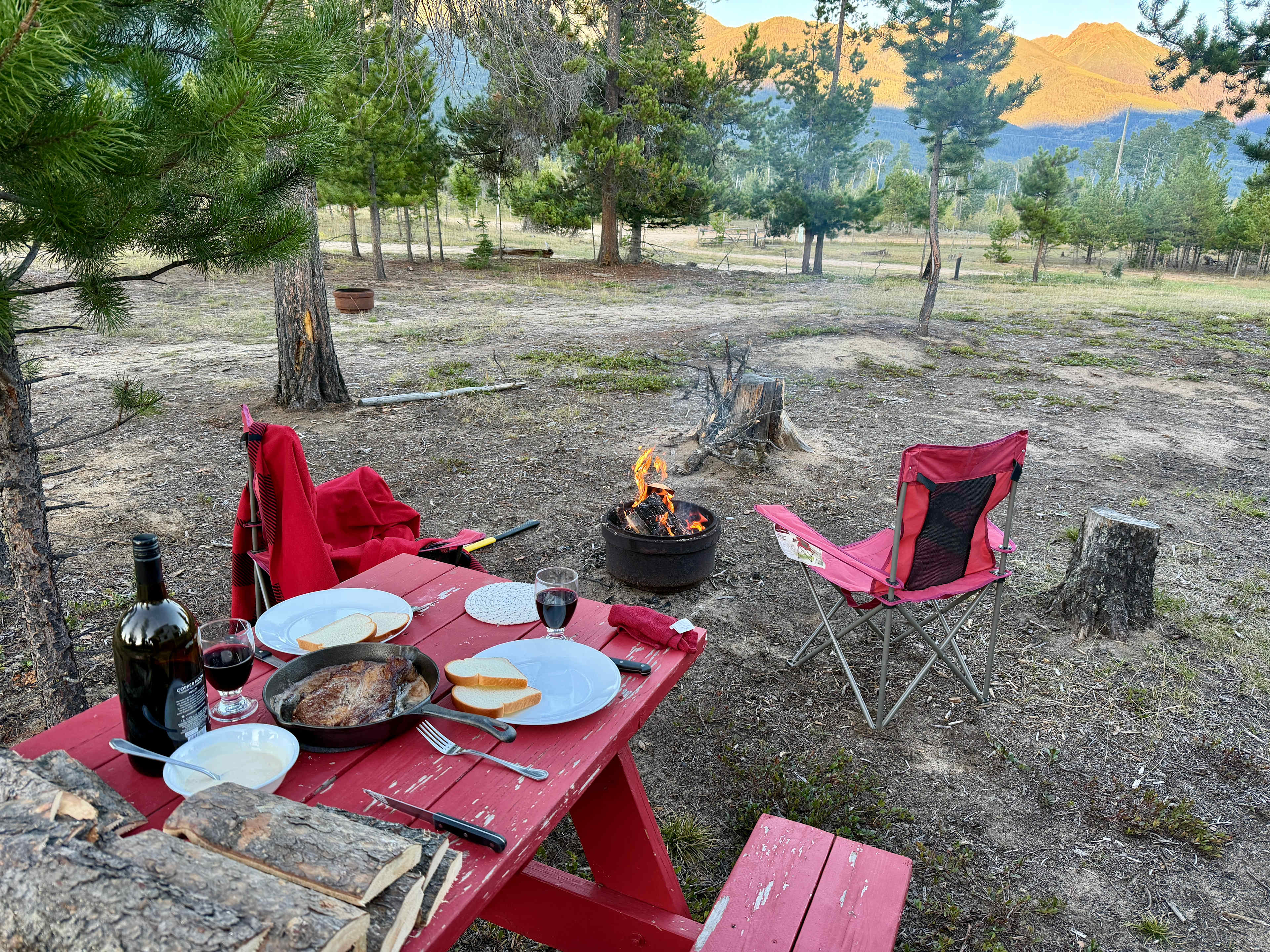 Fuzzy Buddy Ranch