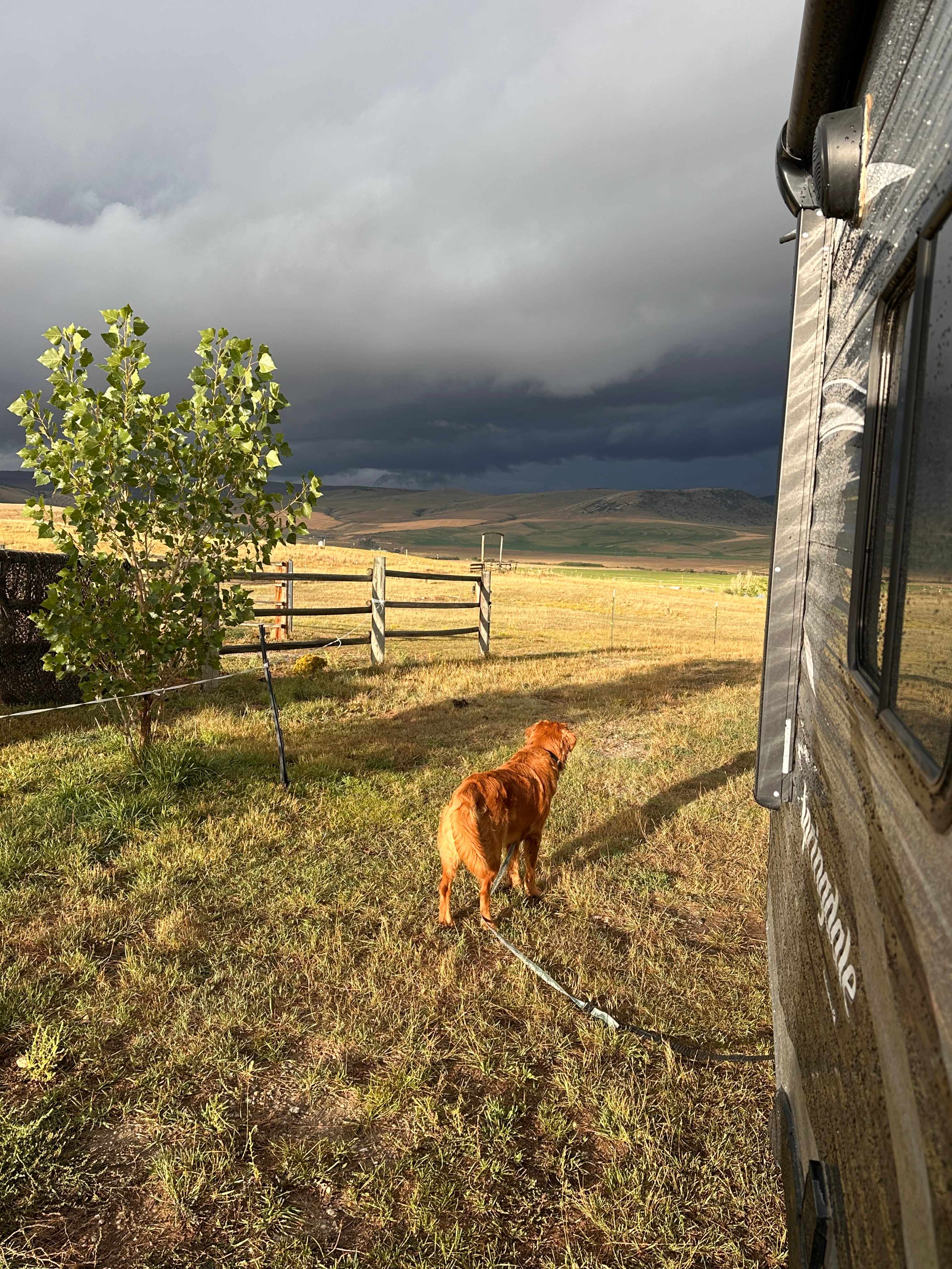 Morning after the thunderstorm 