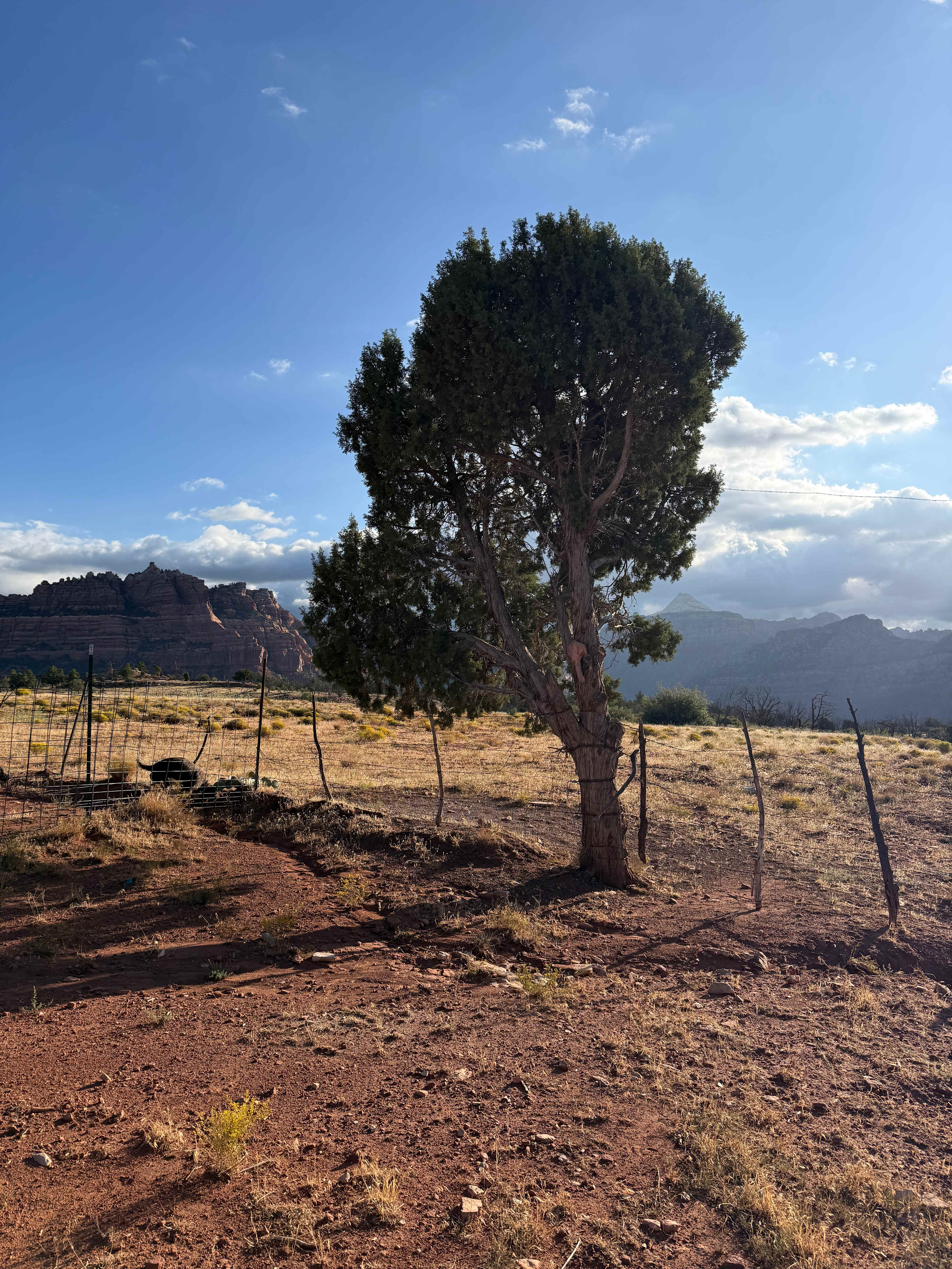 Zion Wright Ranch Eco-Camp