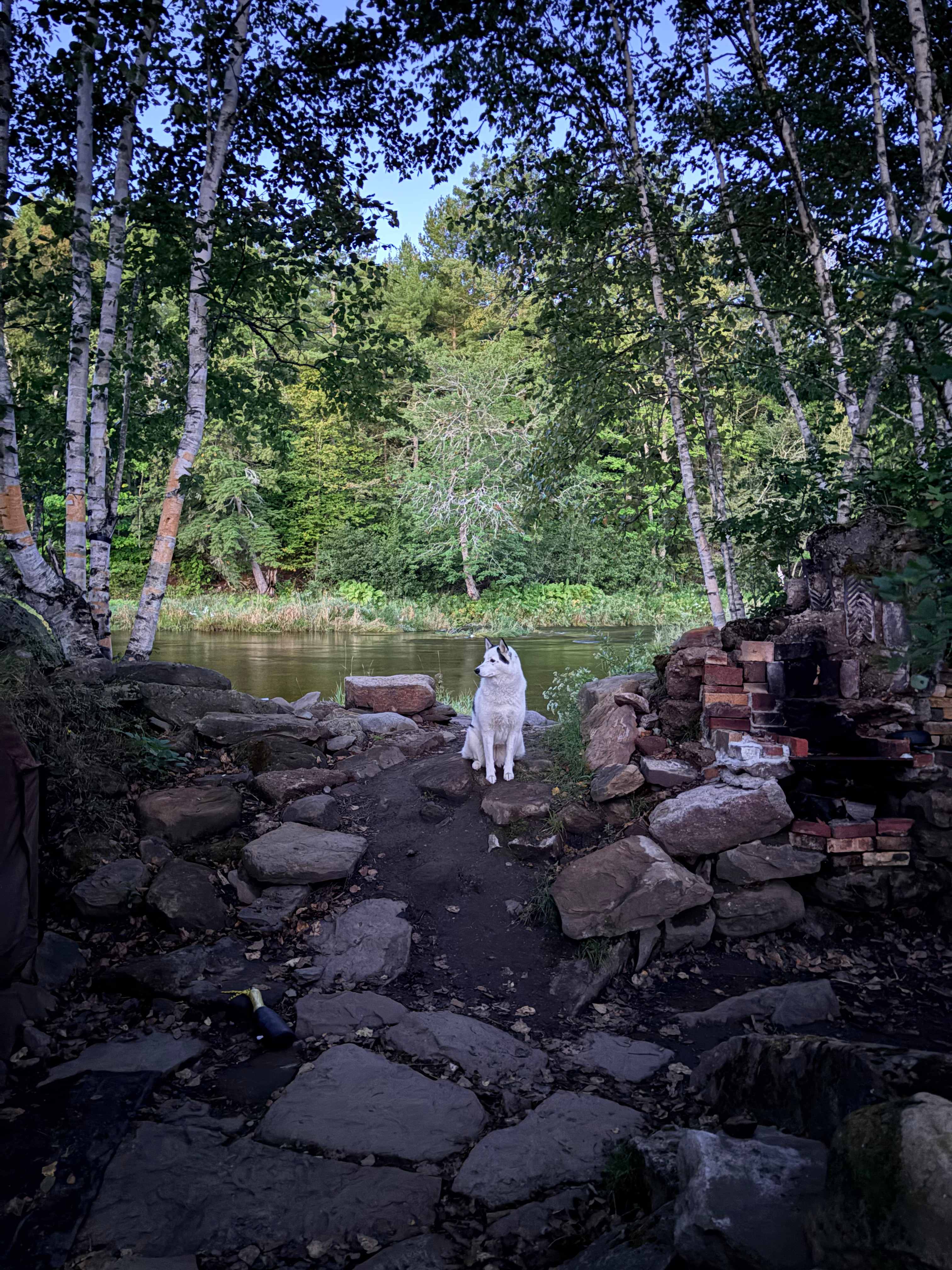 Old Mill Camp