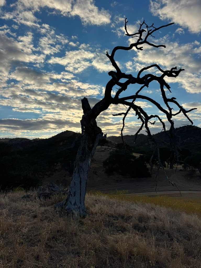 Song of the Ancients: Dark Sky Camping Near Pinnacles