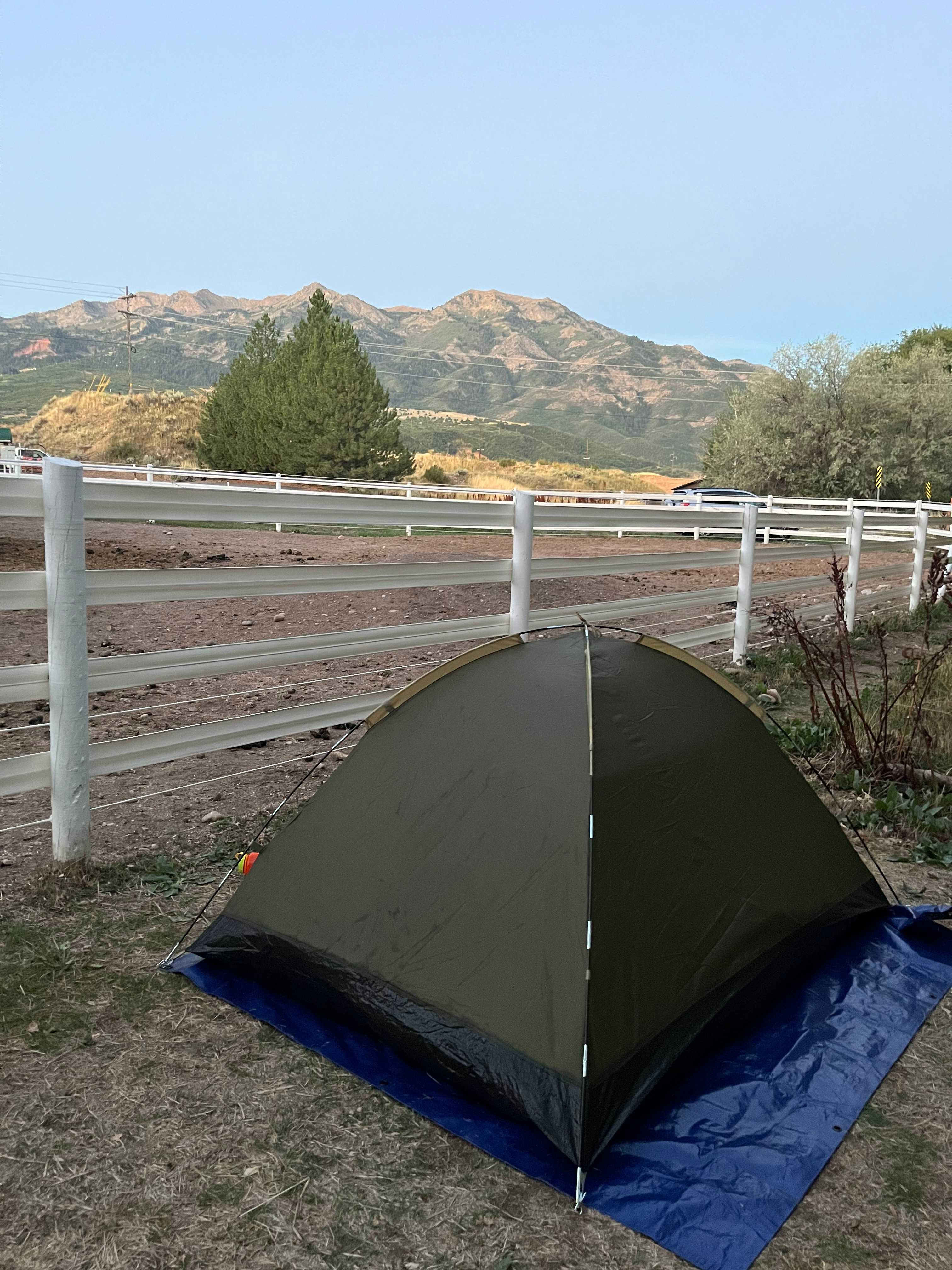 Second Chance Ranch