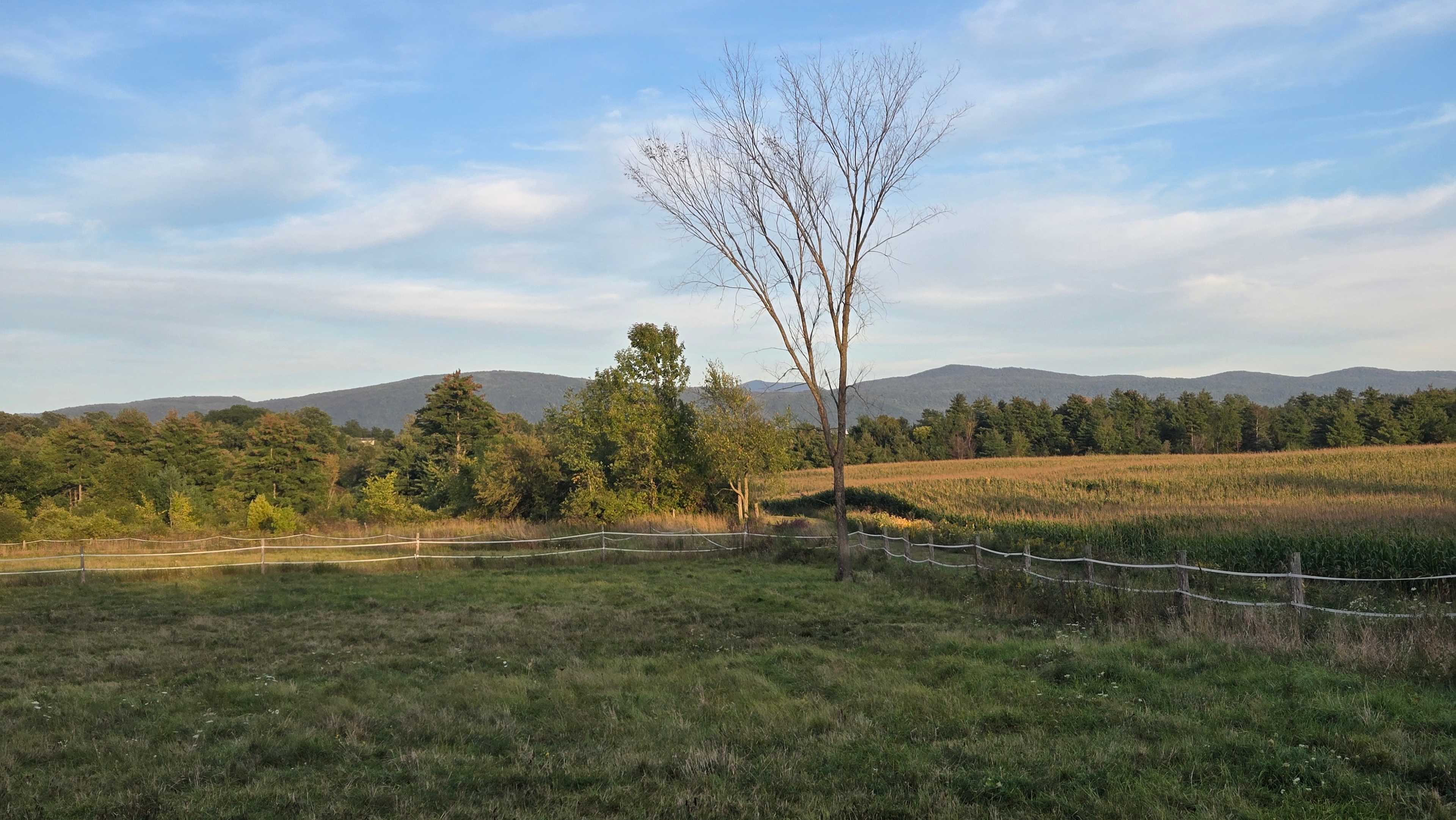 Peaceful Country Haven