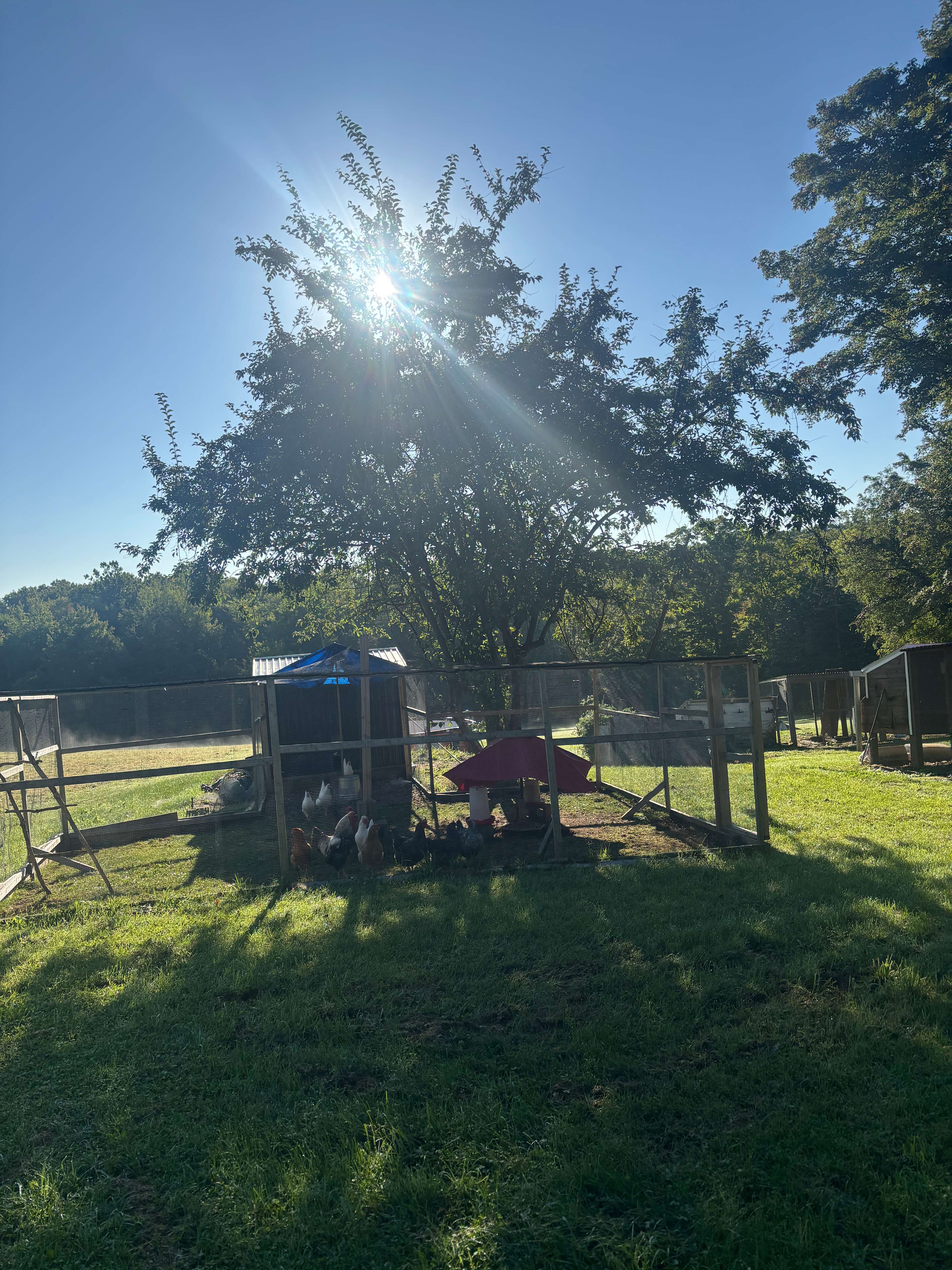 Greener Pastures Camp