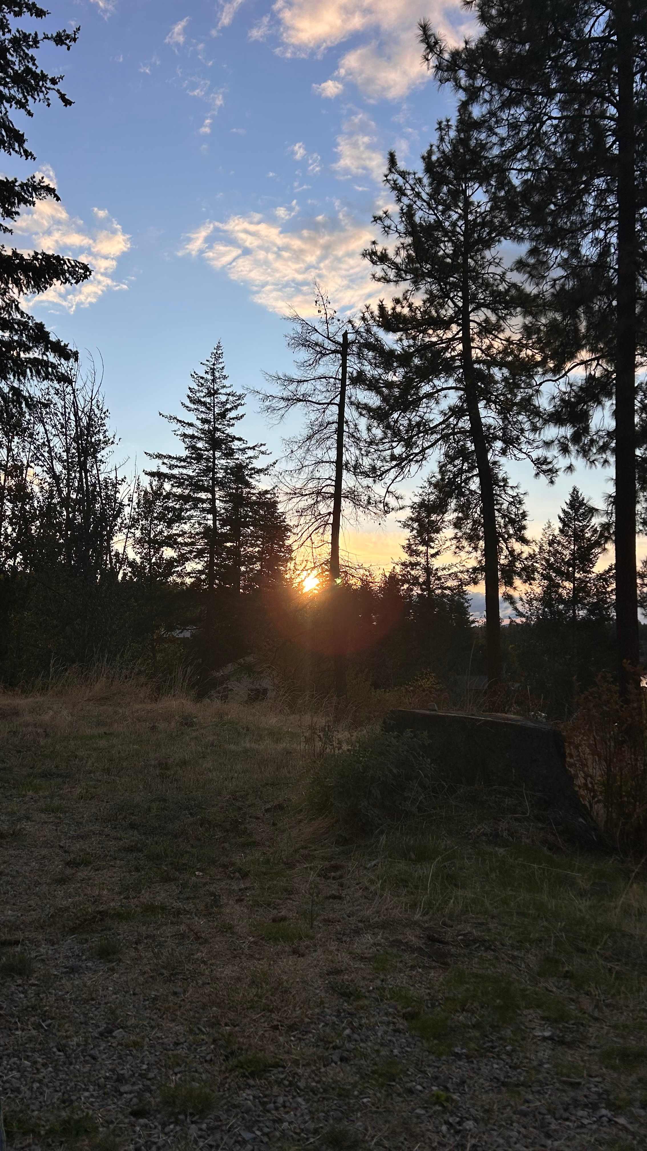 Riverview Woodland Retreat - CDA