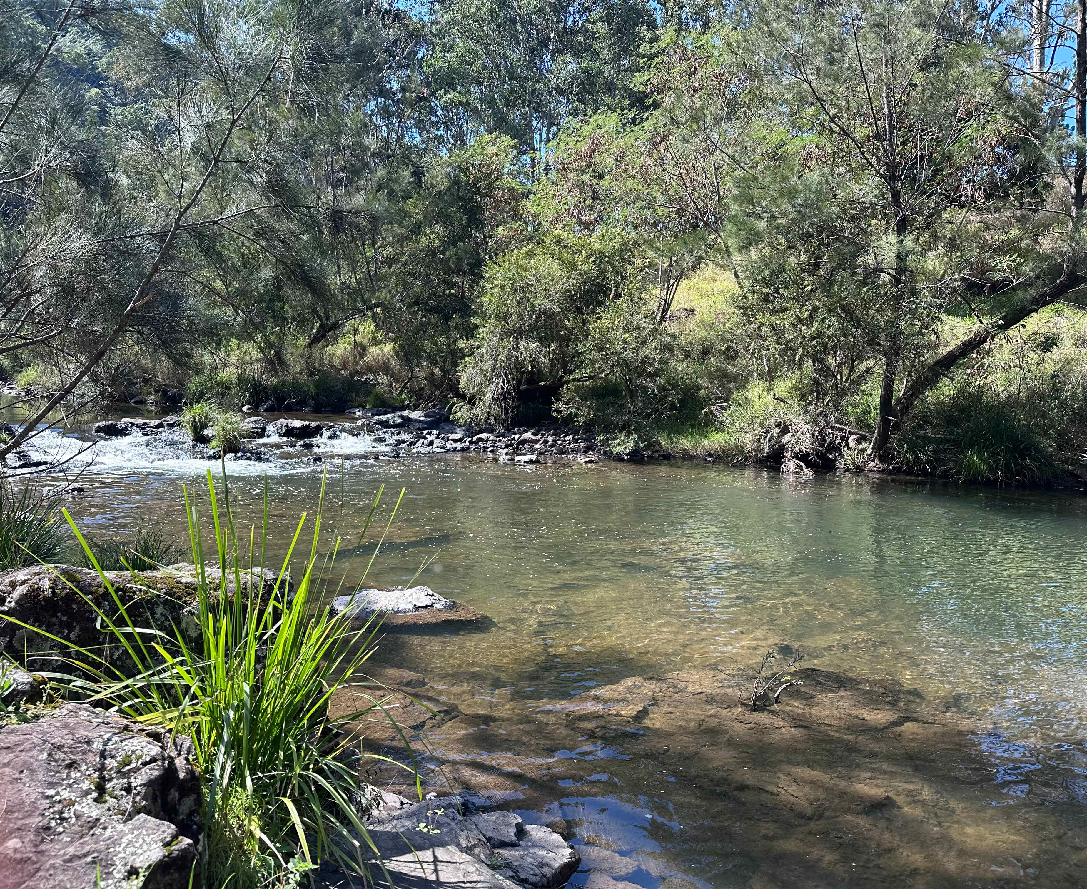 Andrew Drynan Park-Camp with a view
