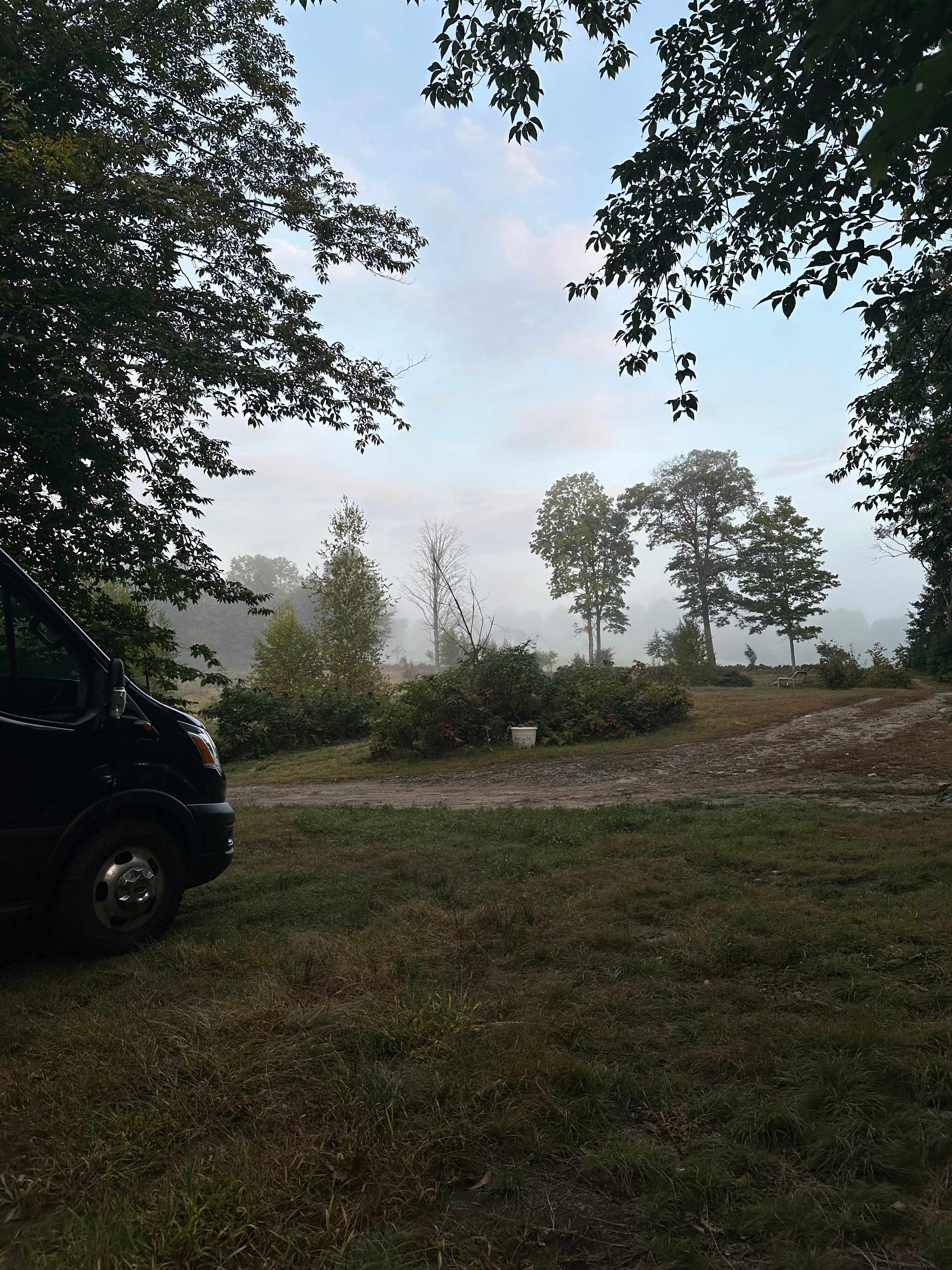 Someday Farm and Forest