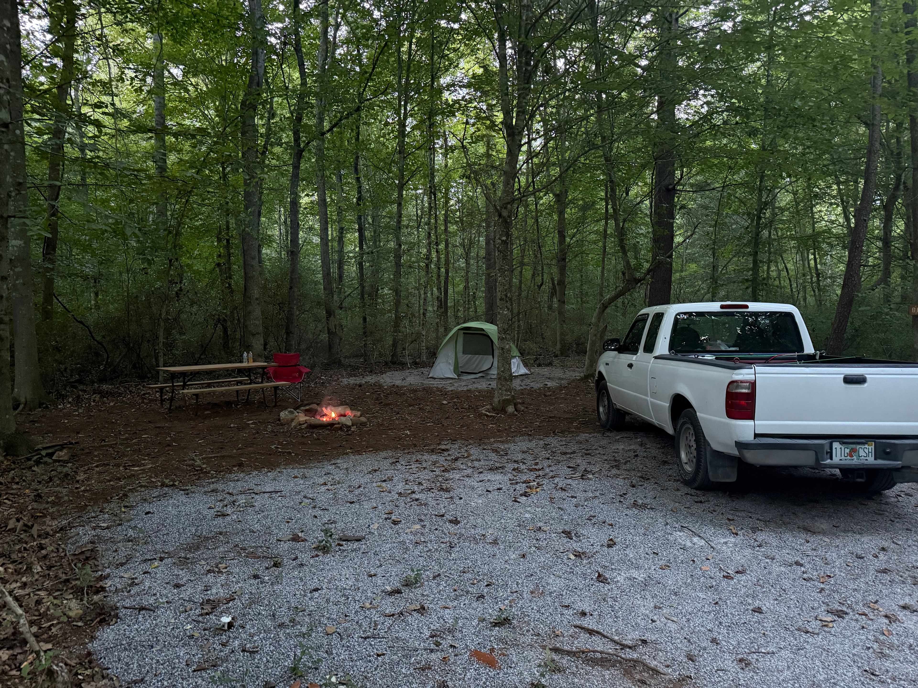 Picture of the site