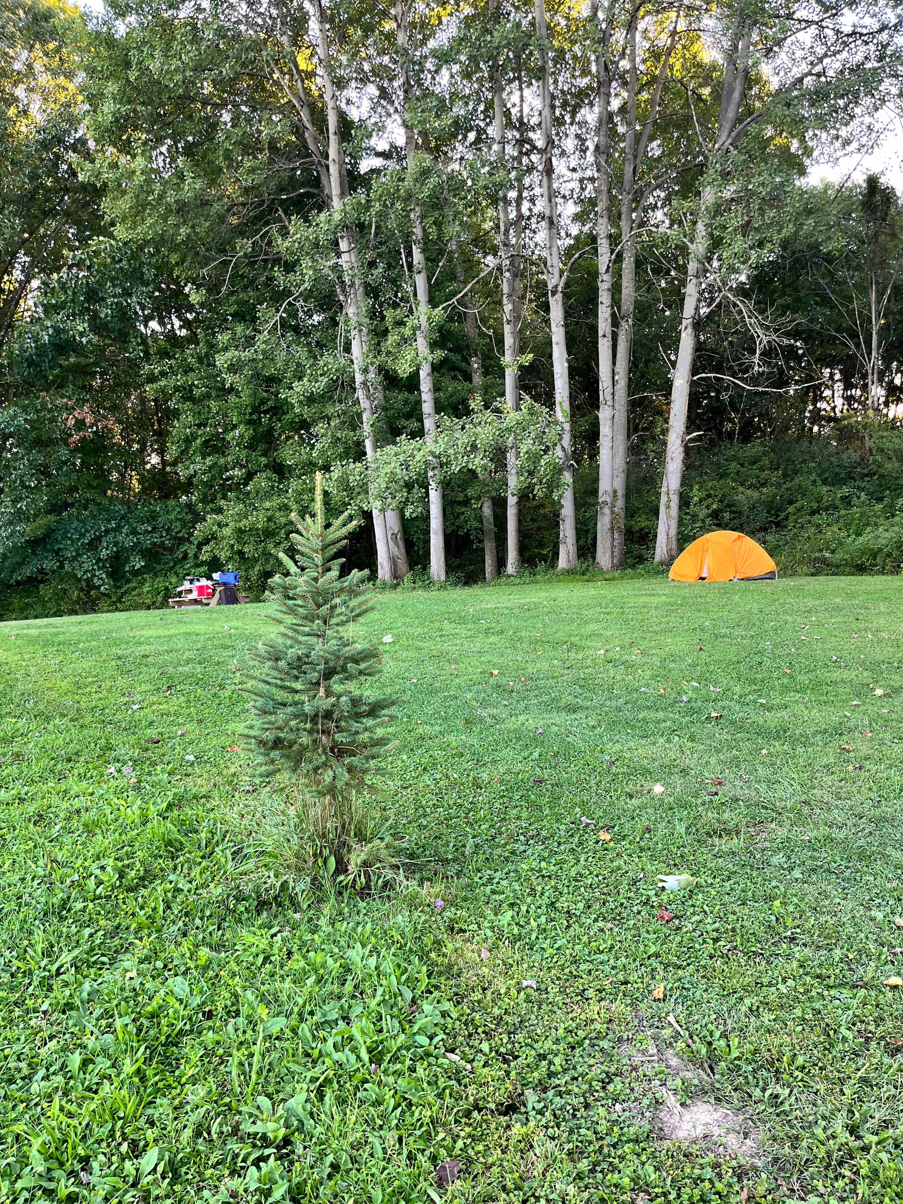 Camping at Heritage Farms