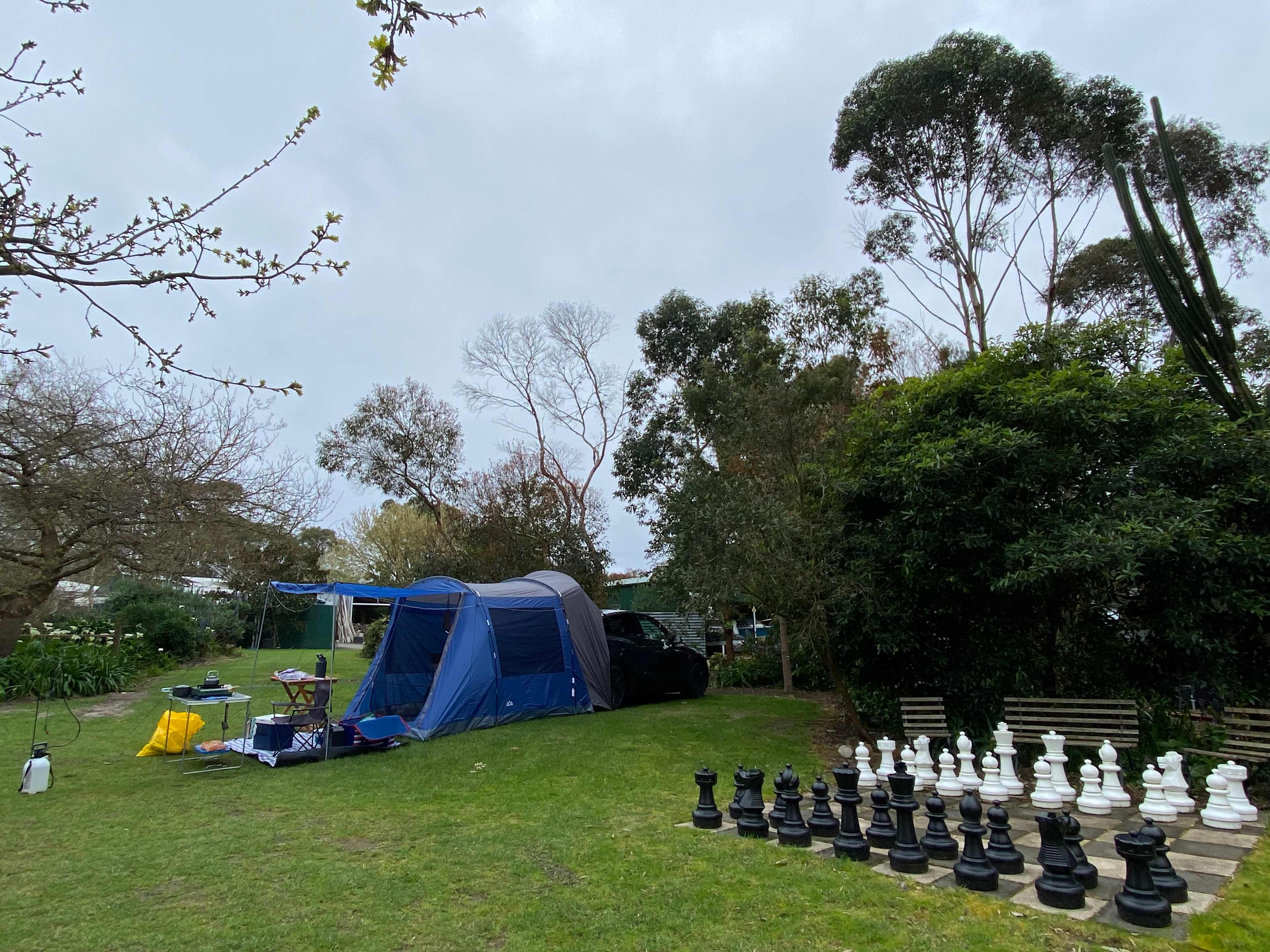 Polly's Paddock