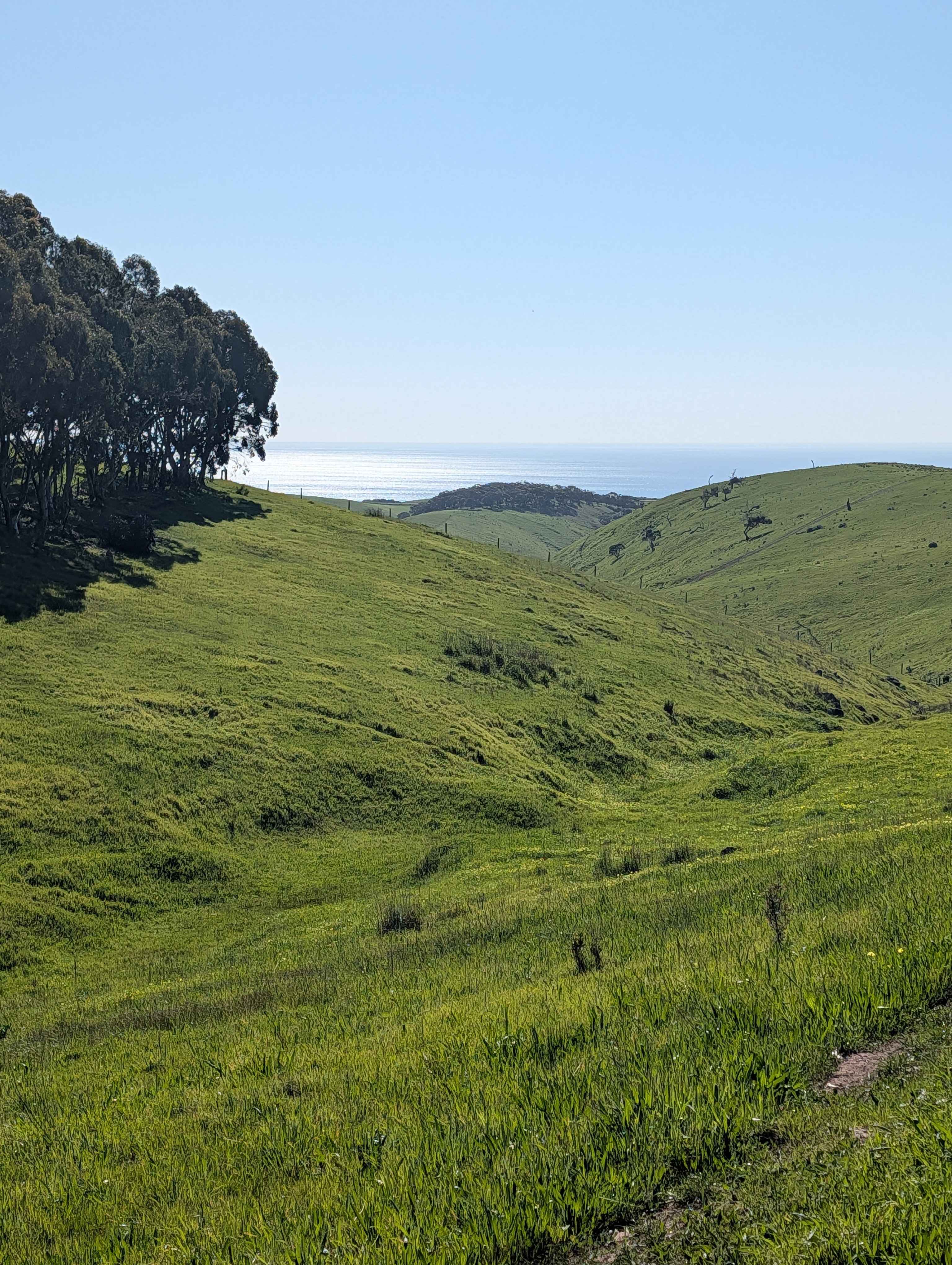 Koala Coast Retreat Farm