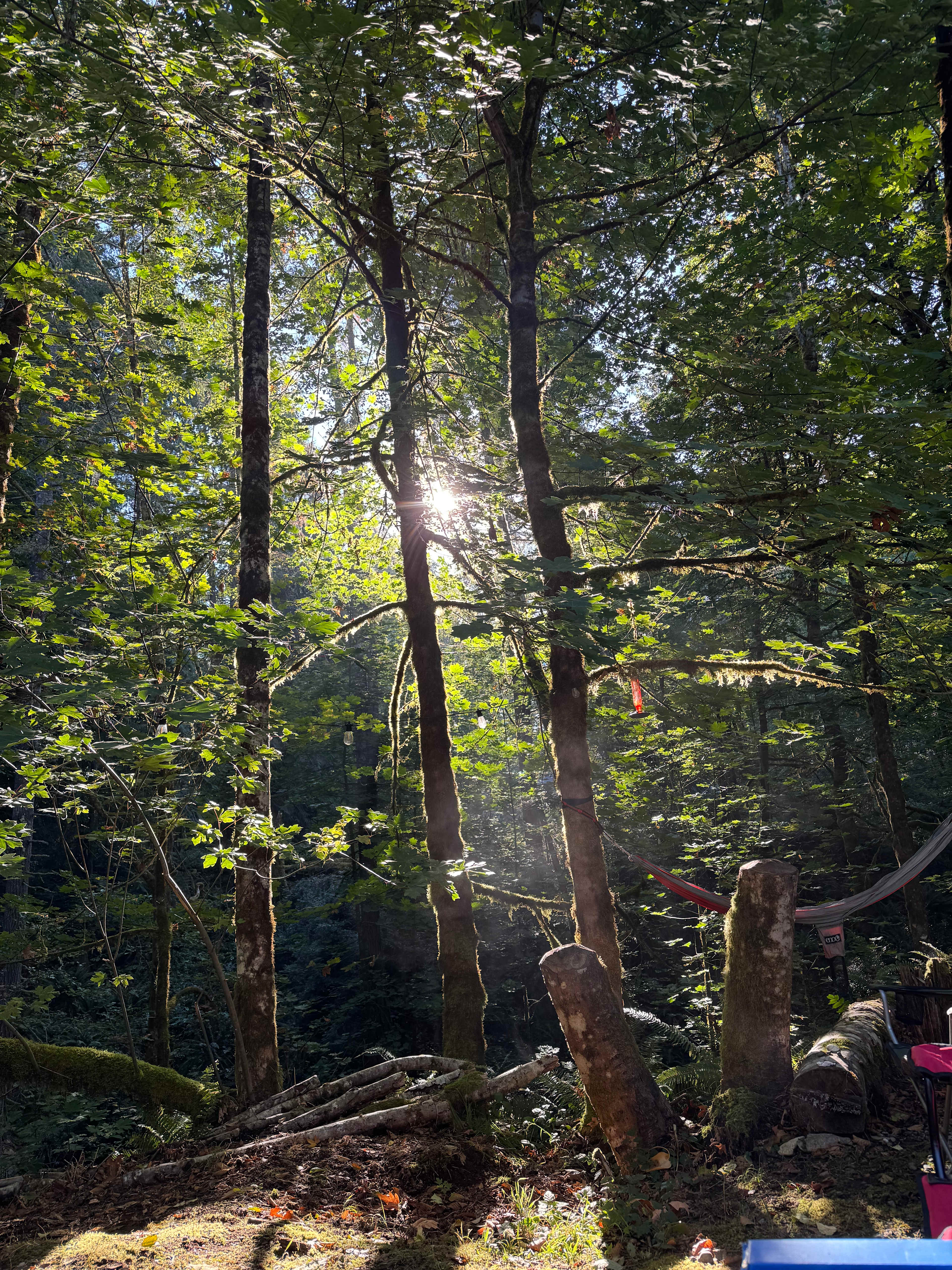 Neighborwood: An Eco Retreat