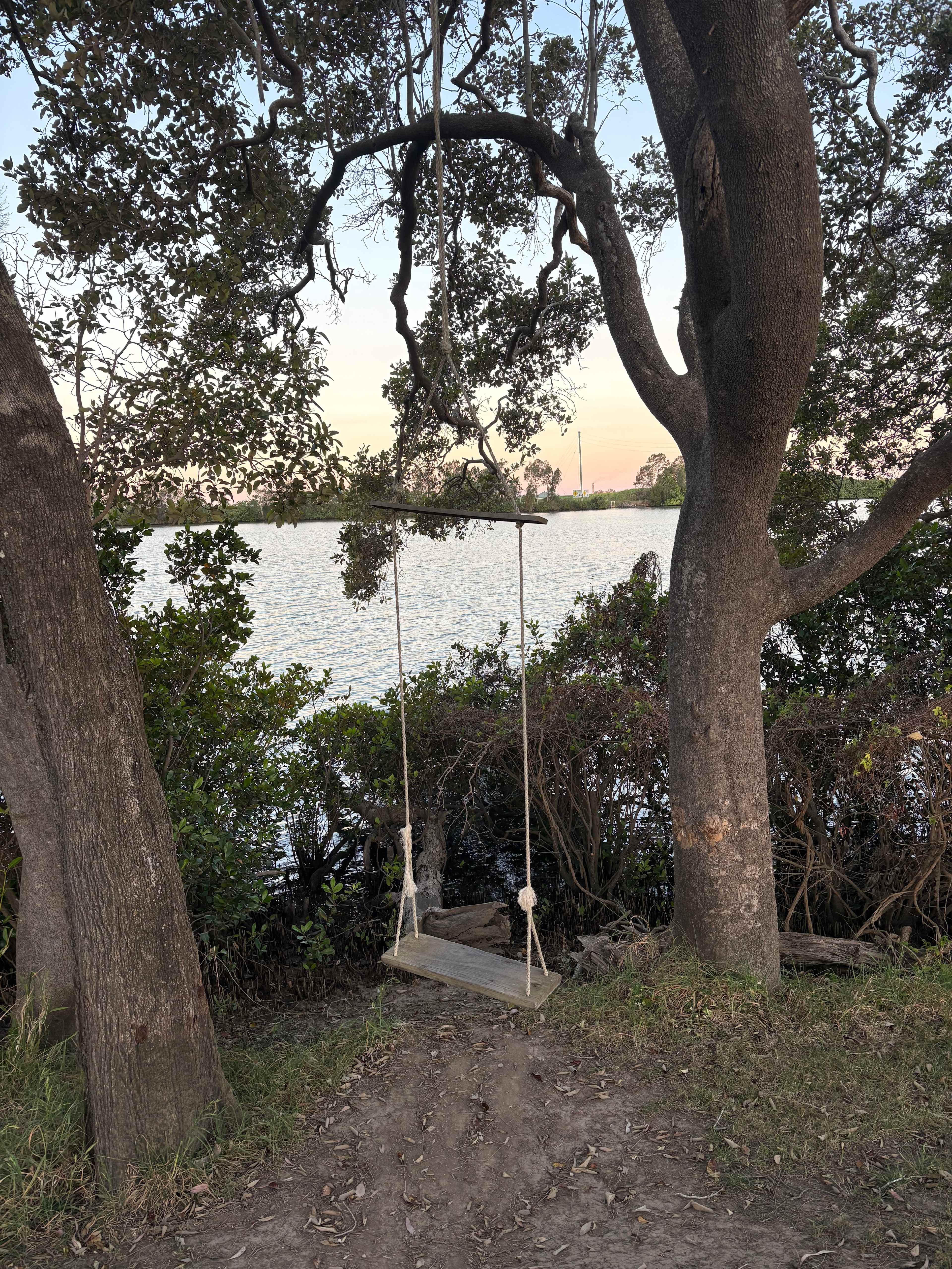 Play Swing