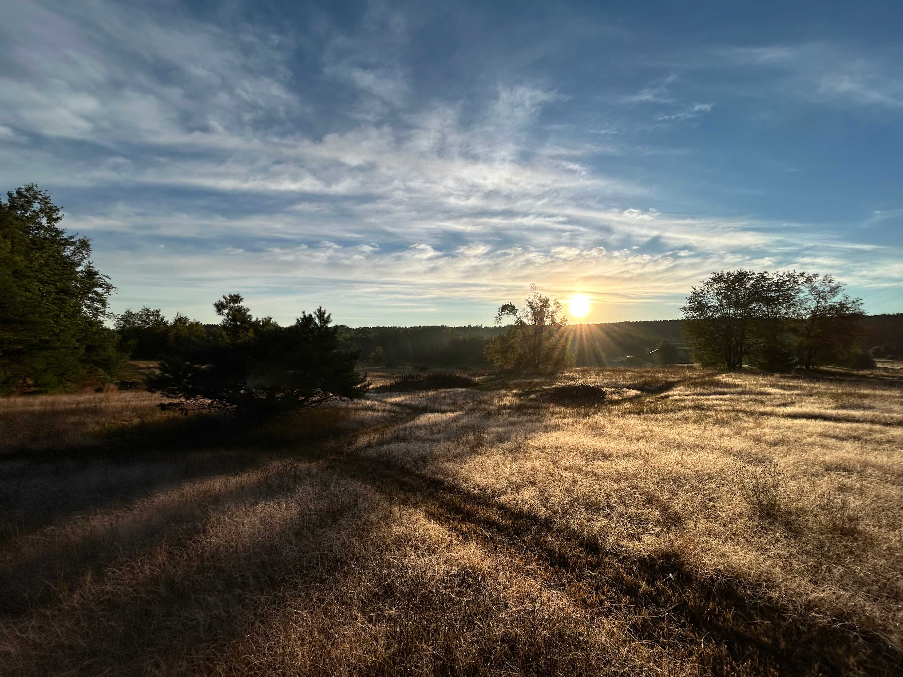 Overlooking the property just after sunrise