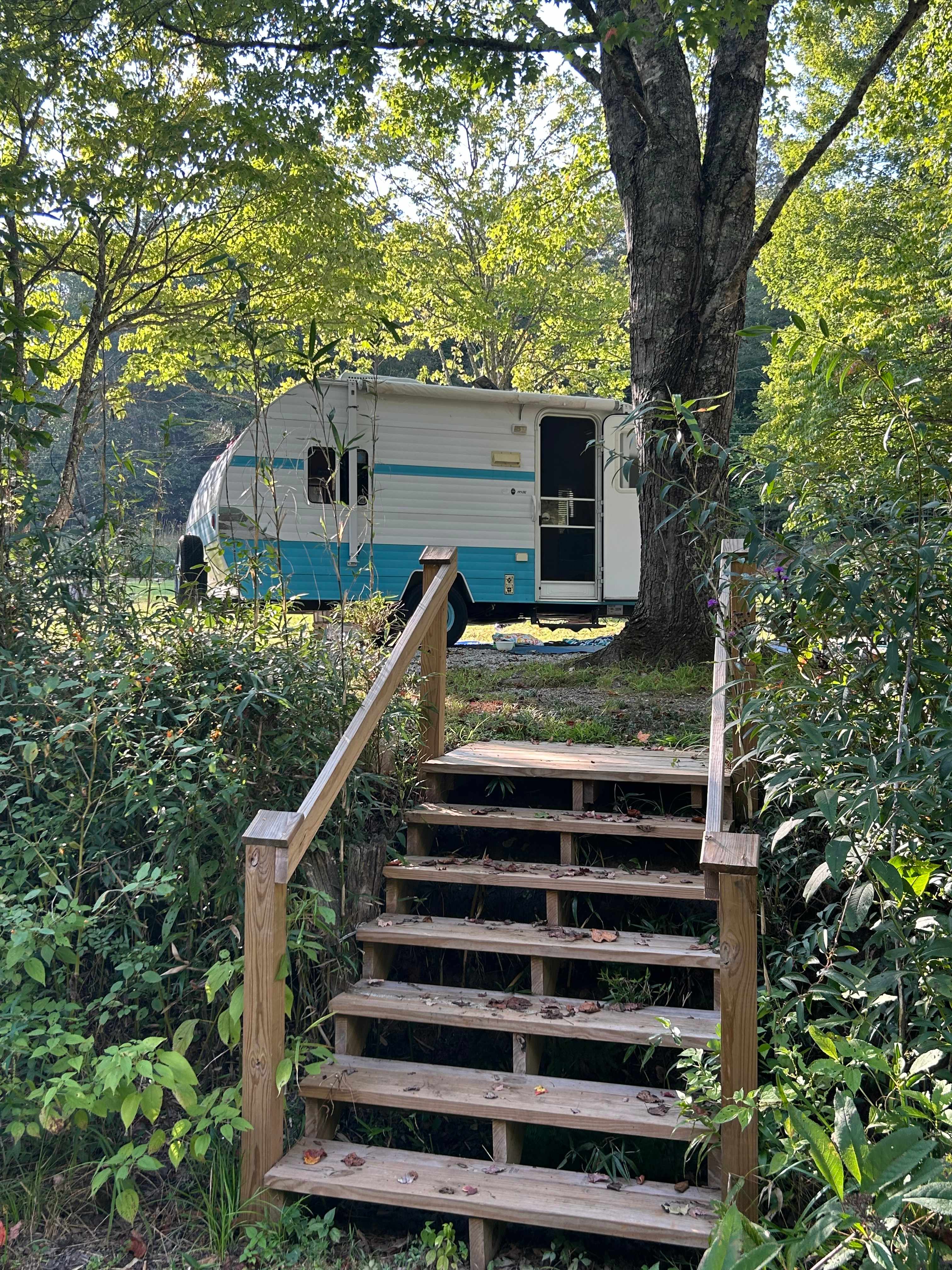 Coweeta Creek Campground
