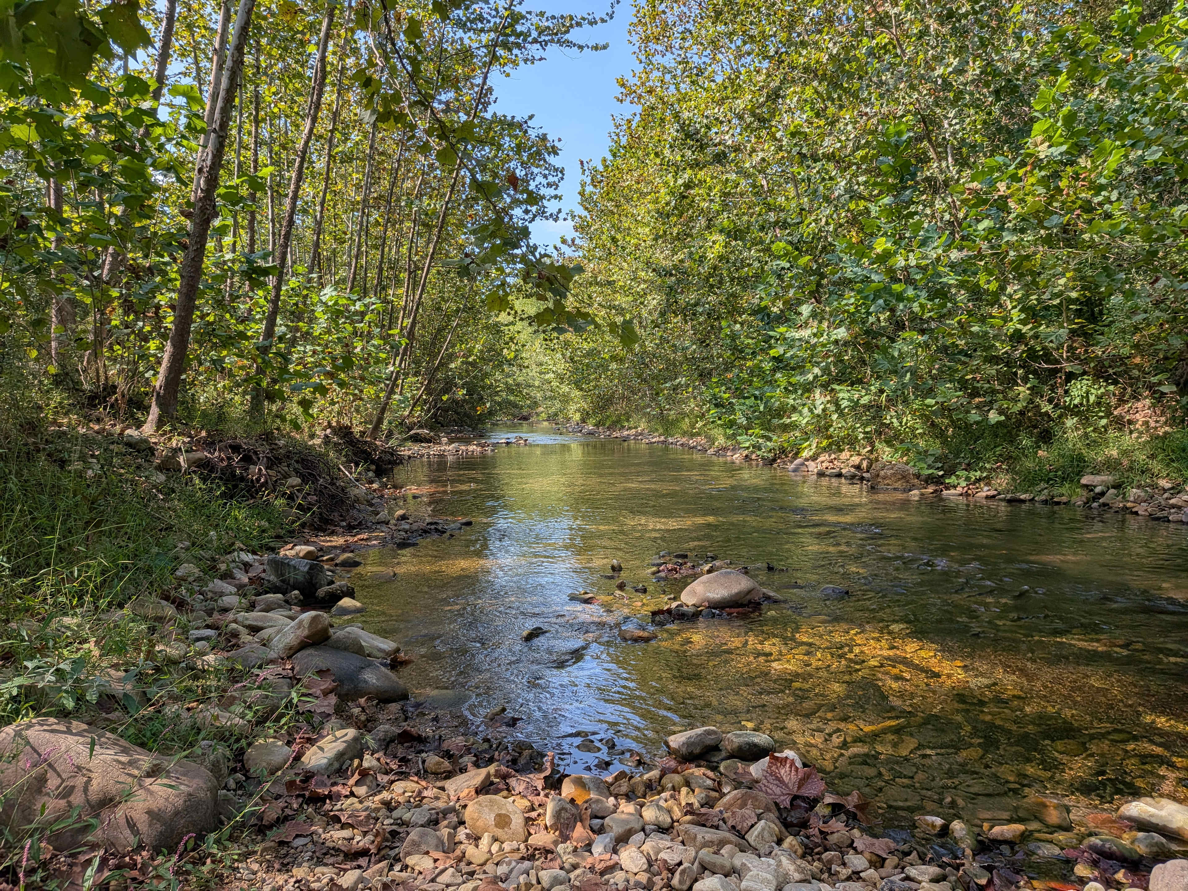 The serene creek.