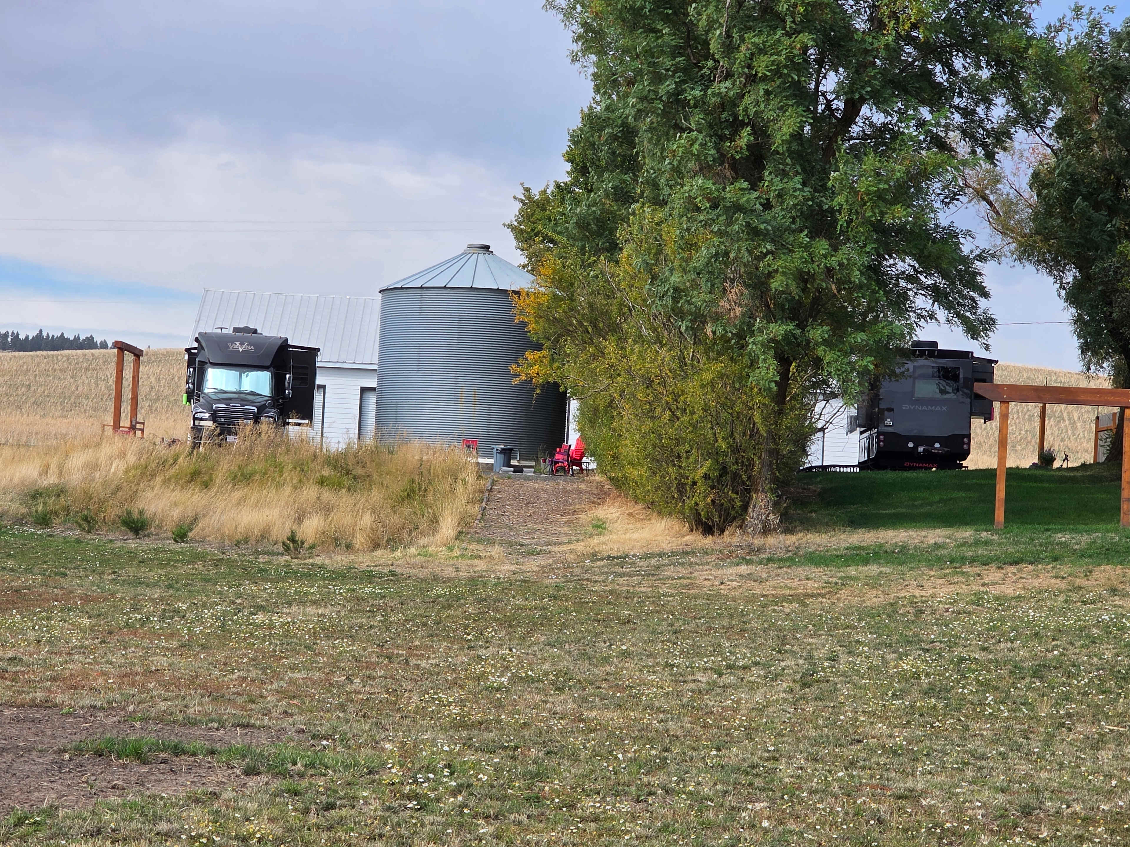 Wheat and Beans