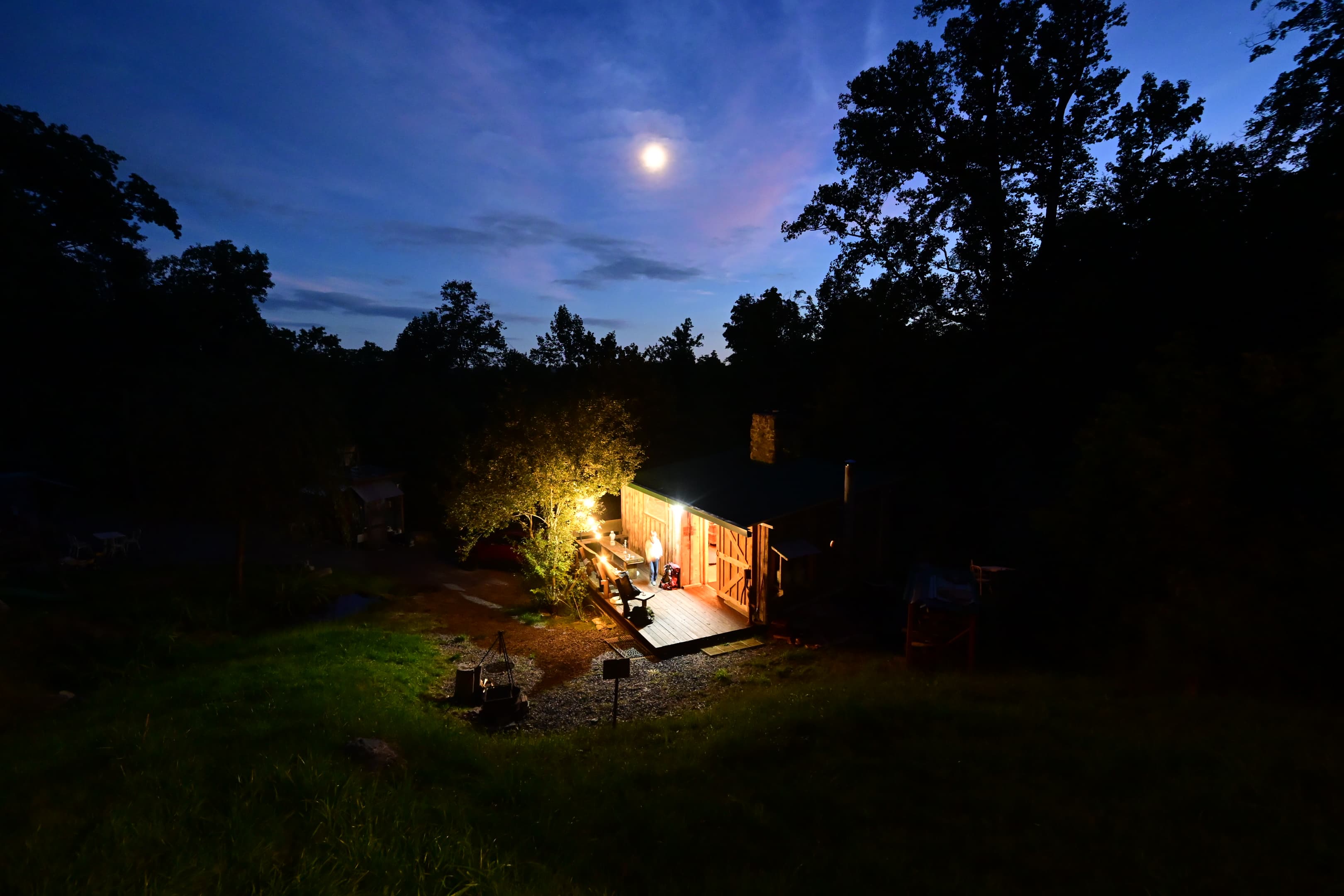Cat's Camp