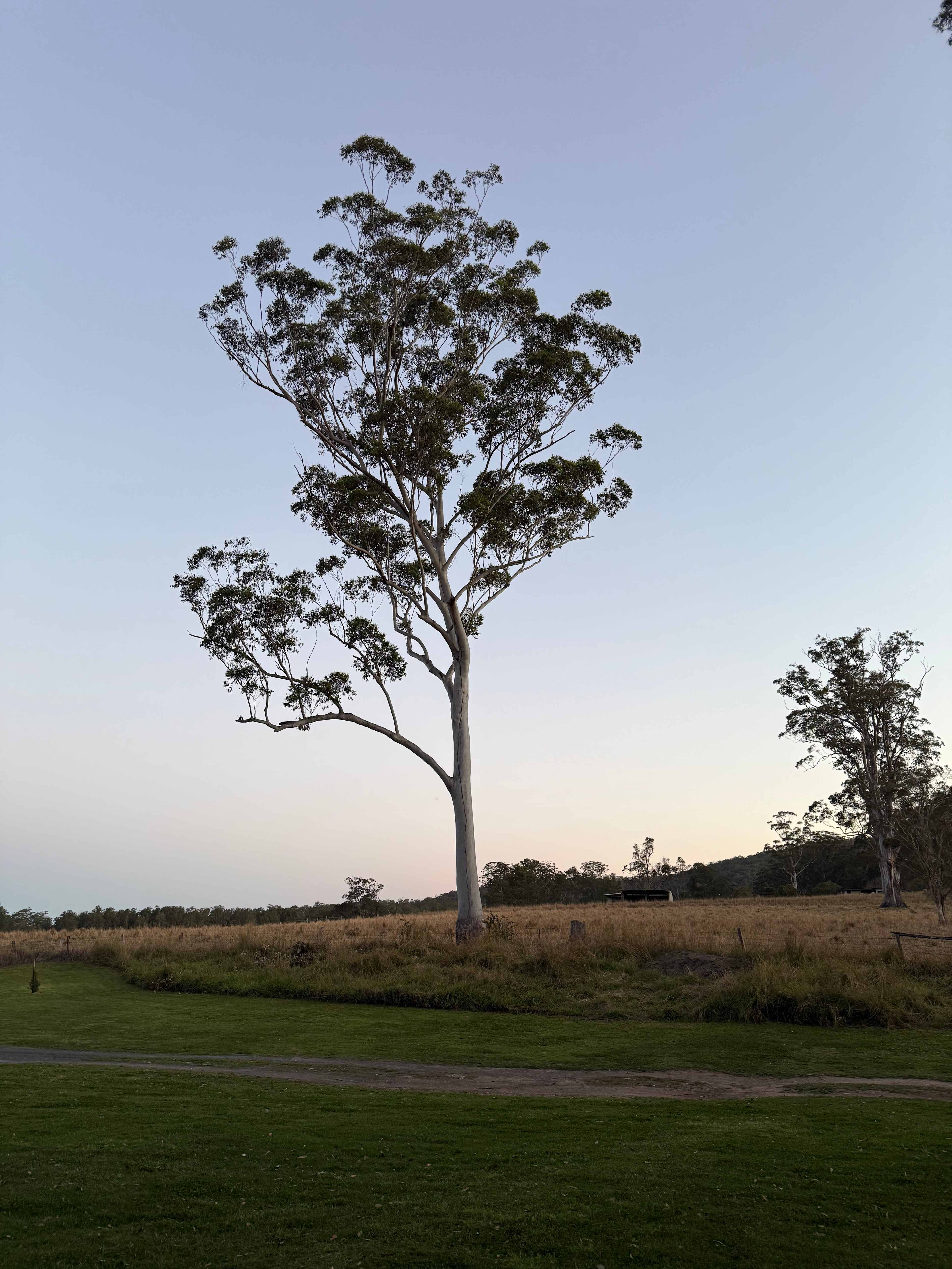Bundilla River Camp