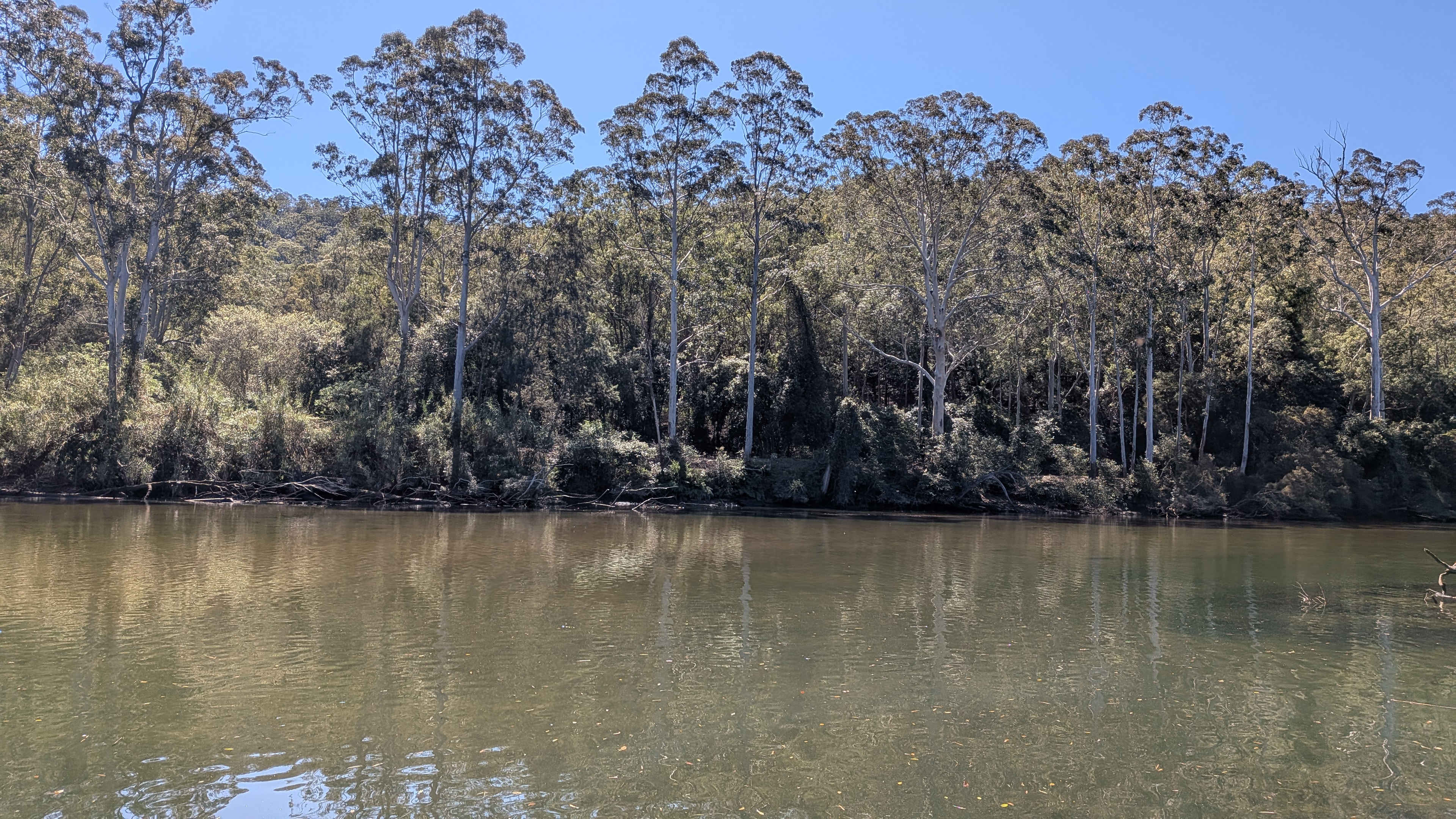 Colo River Hut