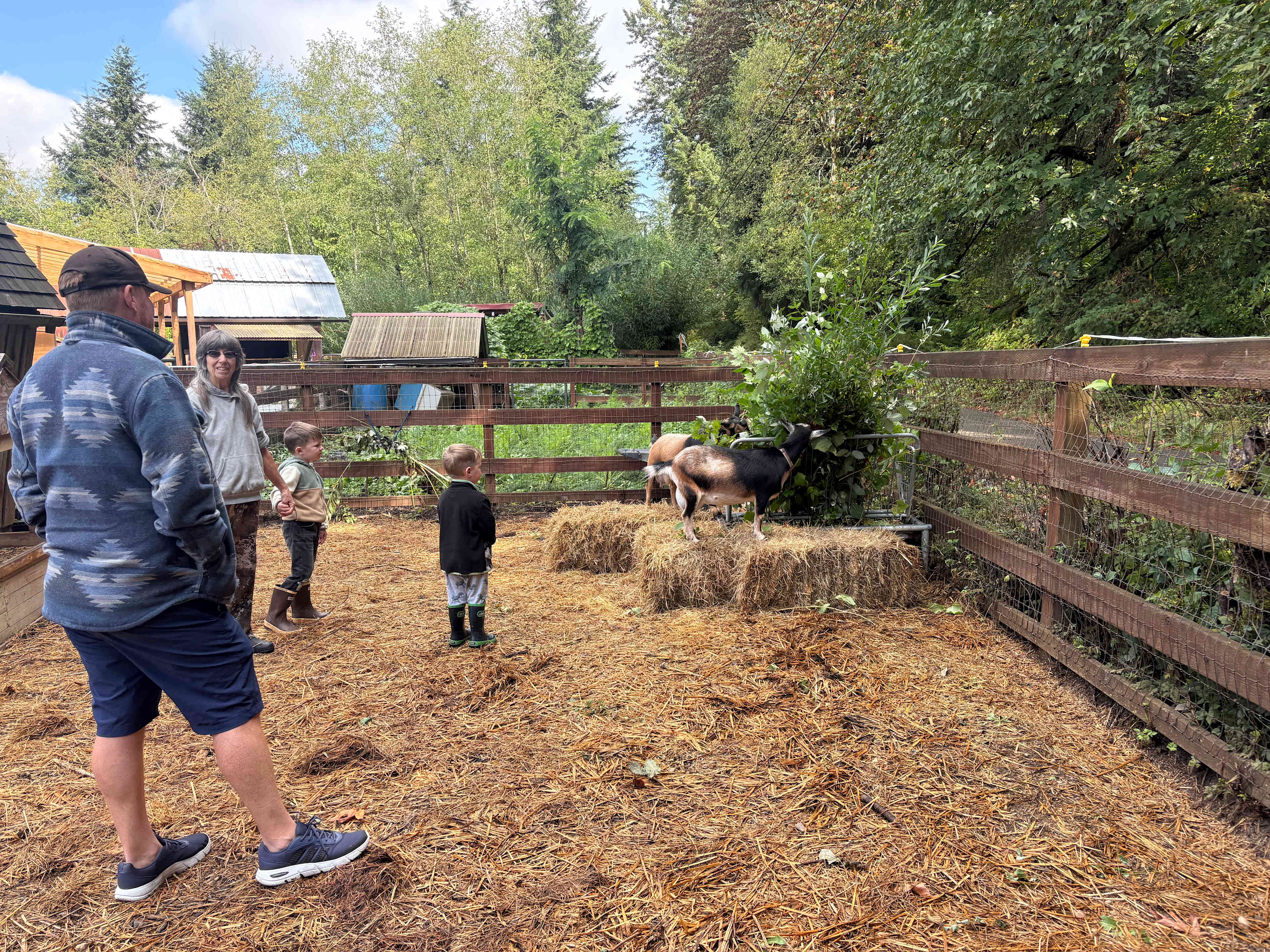 Learning about goats!! 