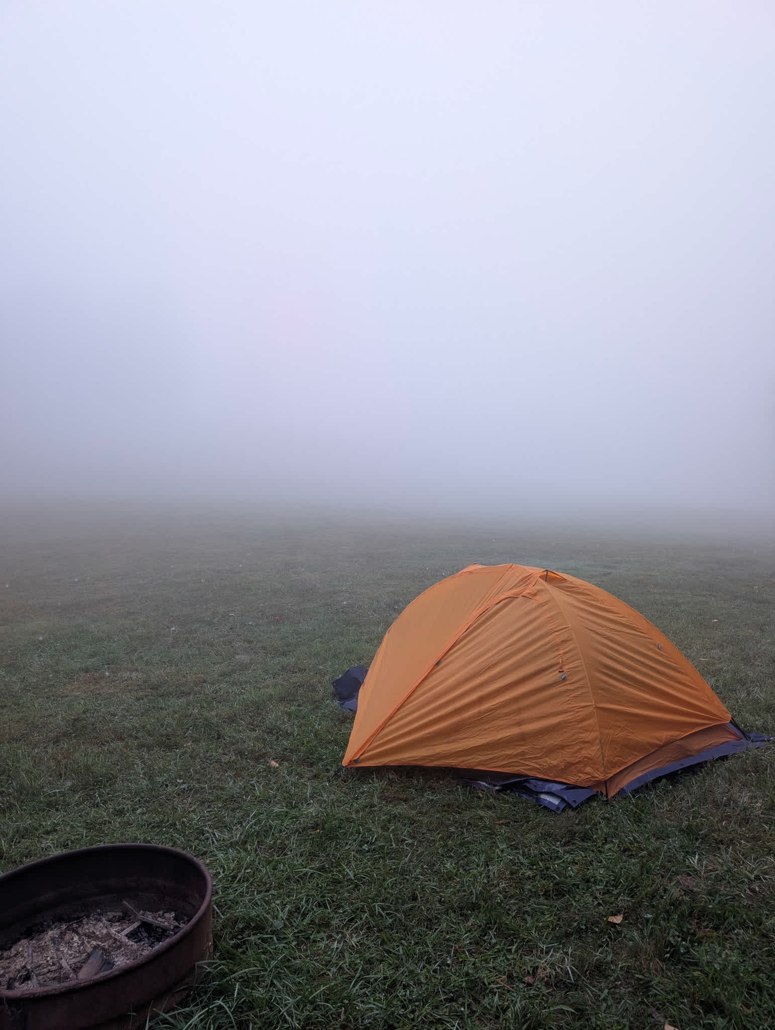 foggy morning 