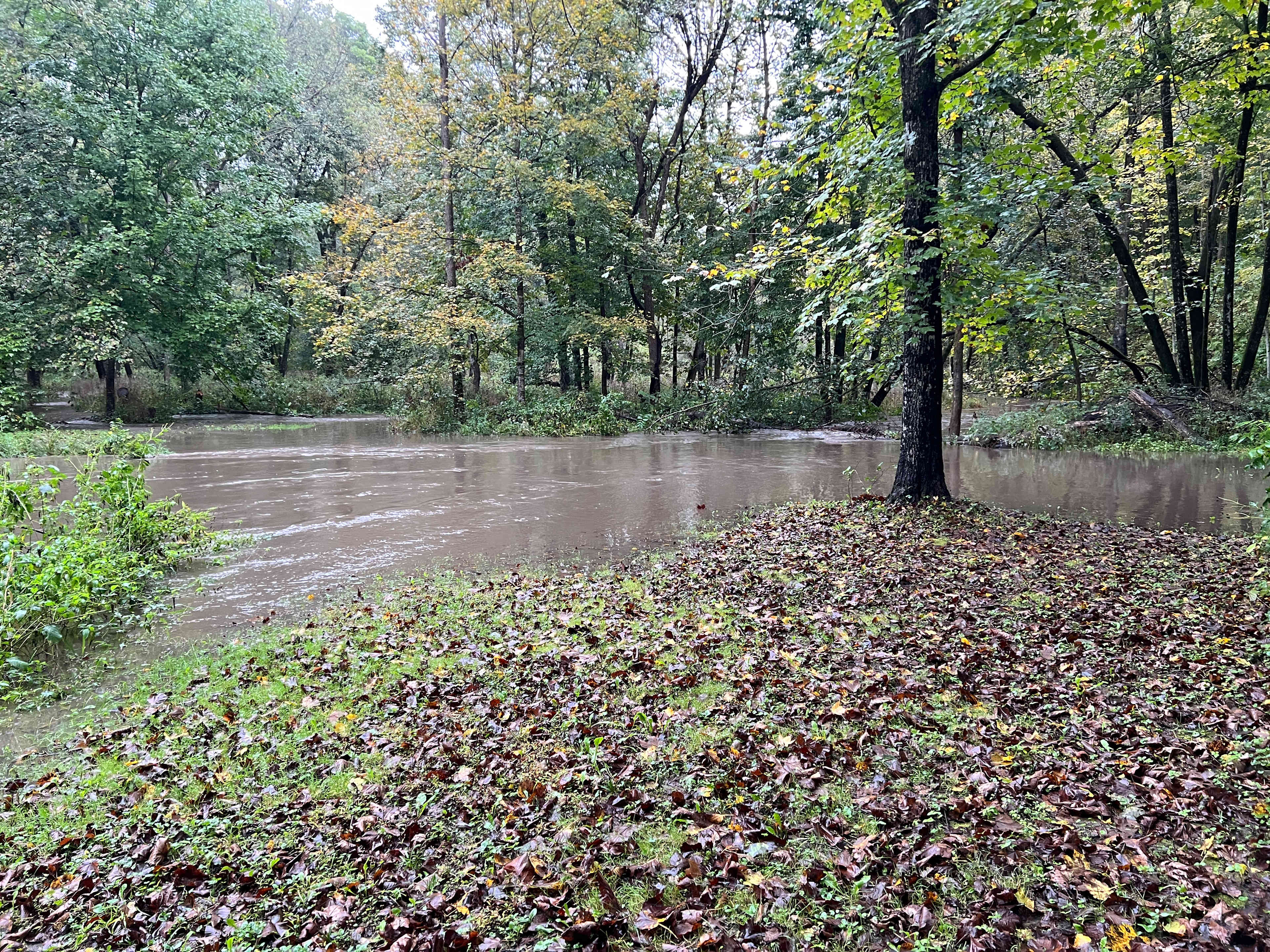 Bluff Hollow Camp on the Root River