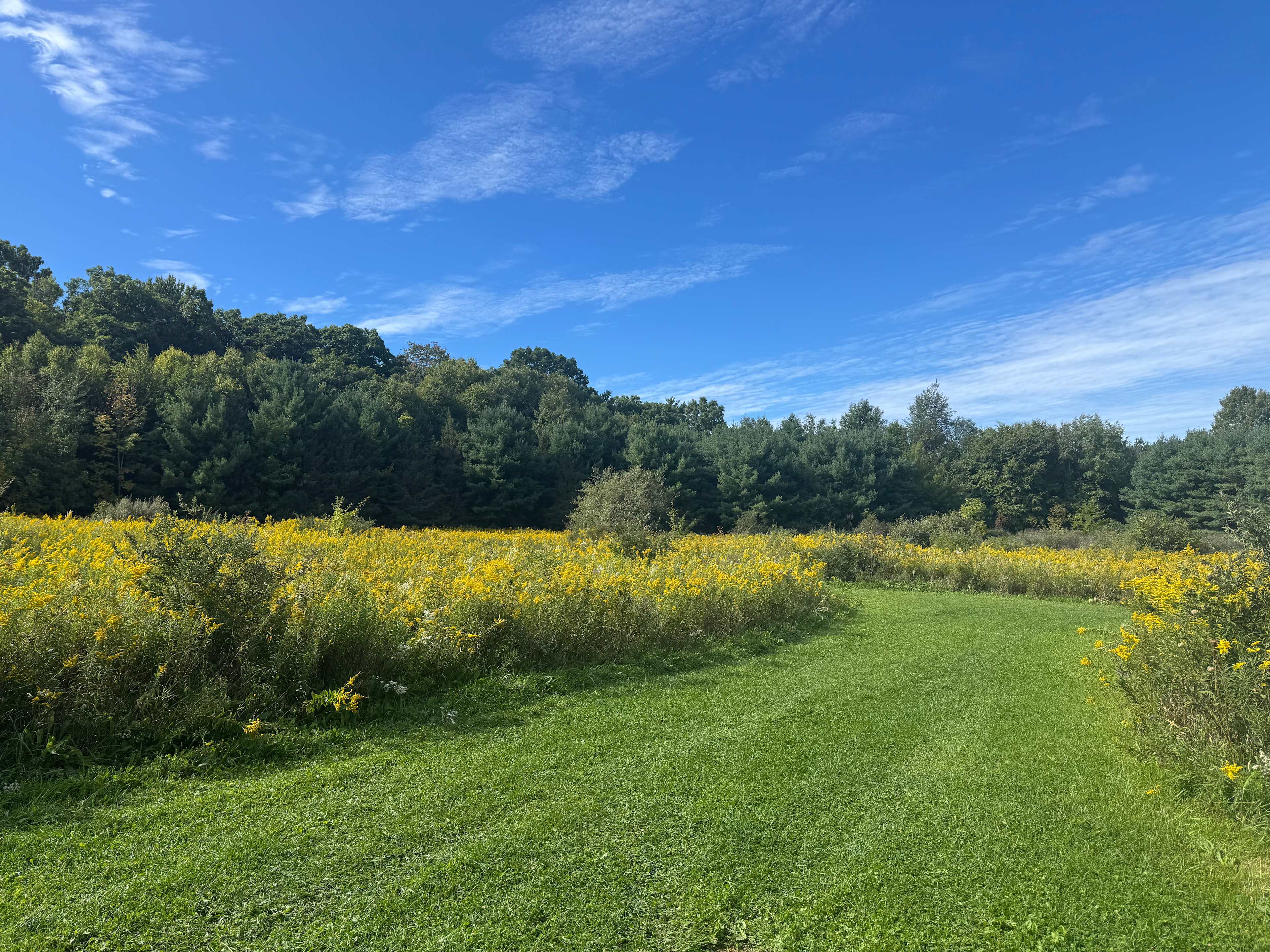 Hillside Pond with a View